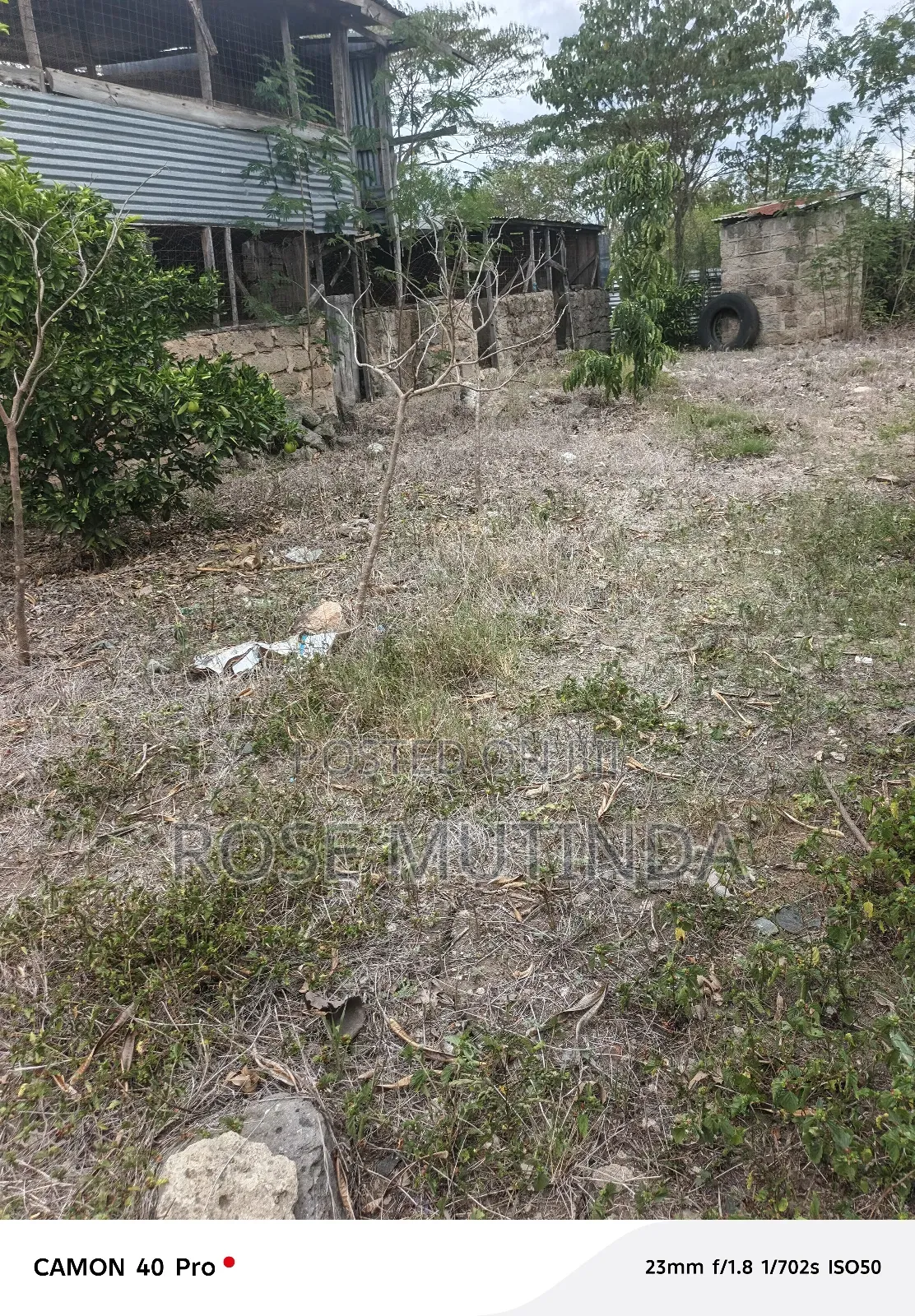 50by 100 at Malas in Malaa