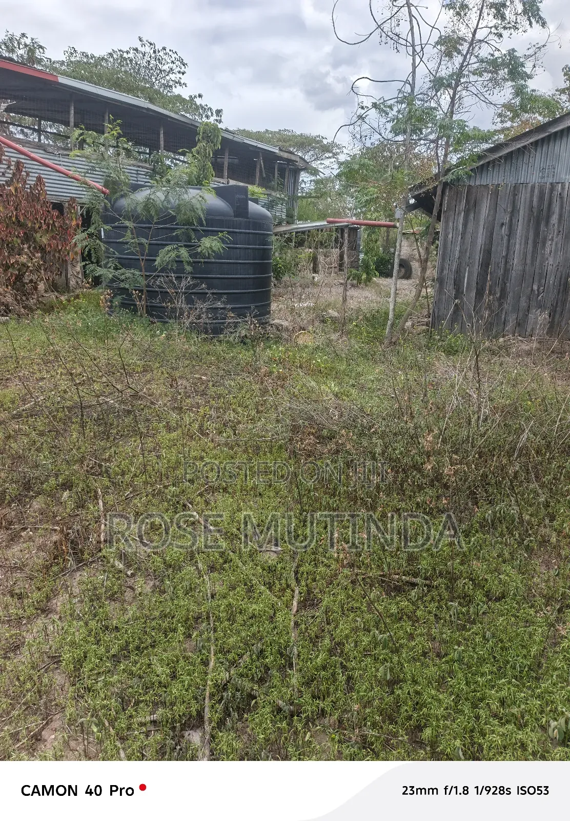 50by 100 at Malas in Malaa
