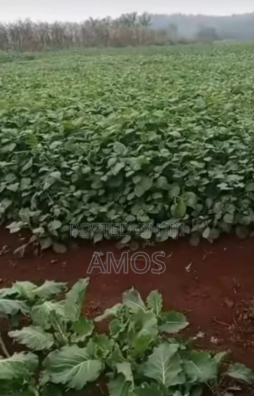 Very Prime 6 Acre in Gikuni Town Lower Kabete in Kabete