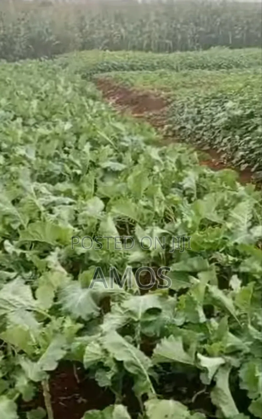 Very Prime 6 Acre in Gikuni Town Lower Kabete in Kabete