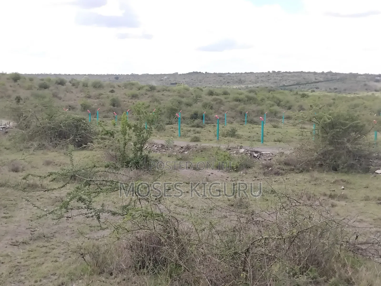 Jujafarm 3 Acres 1/4 for Sale. in Ruiru