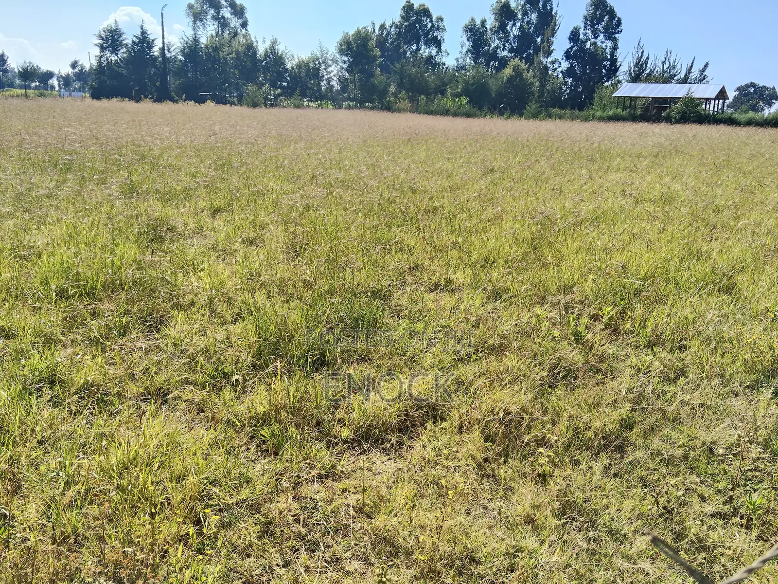 1 Acre Land For Sale In Kapndani Sogomo Eldoret in Kuinet