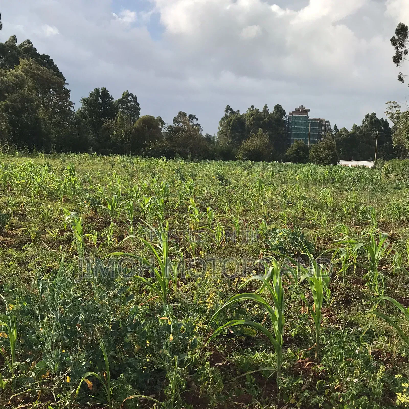 Land in Limuru Highway for Sale in Parklands/Highridge