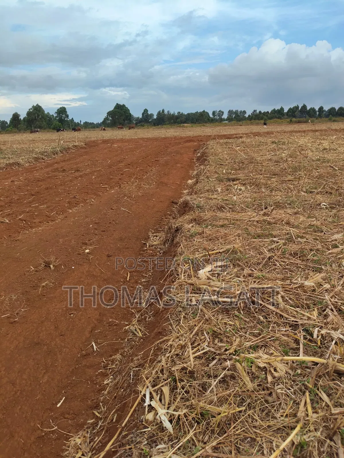 Eldoret Annex Prime 1⁄8 and 1⁄4 Acre Plots on Sale in Eldoret CBD