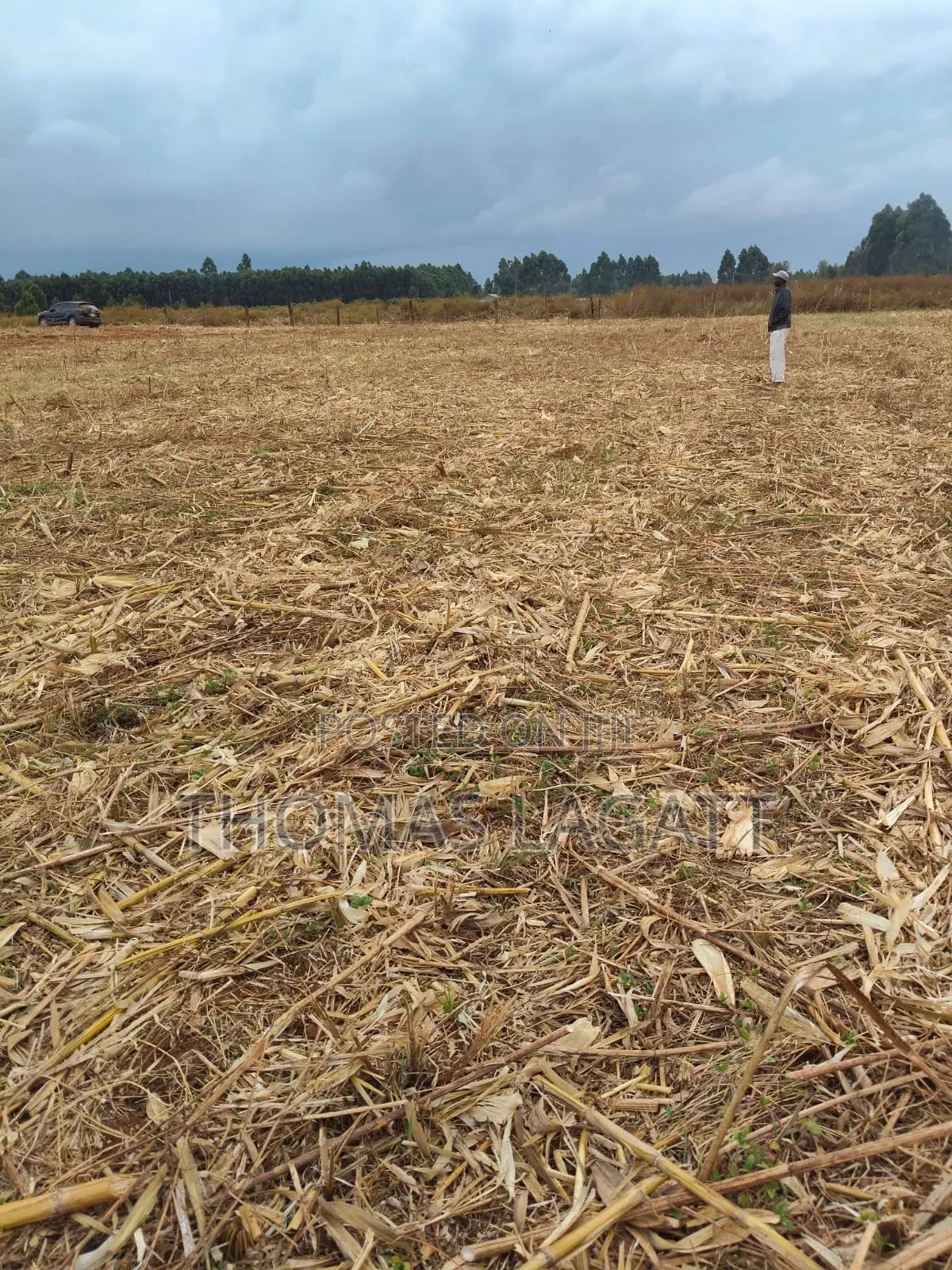 Eldoret Annex Prime 1⁄8 and 1⁄4 Acre Plots on Sale in Eldoret CBD