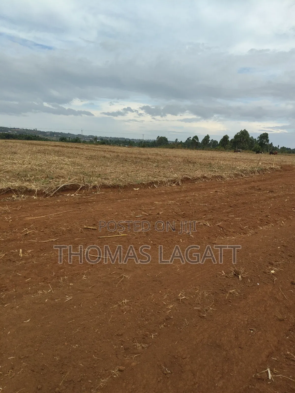 Eldoret Annex Prime 1⁄8 and 1⁄4 Acre Plots on Sale in Eldoret CBD