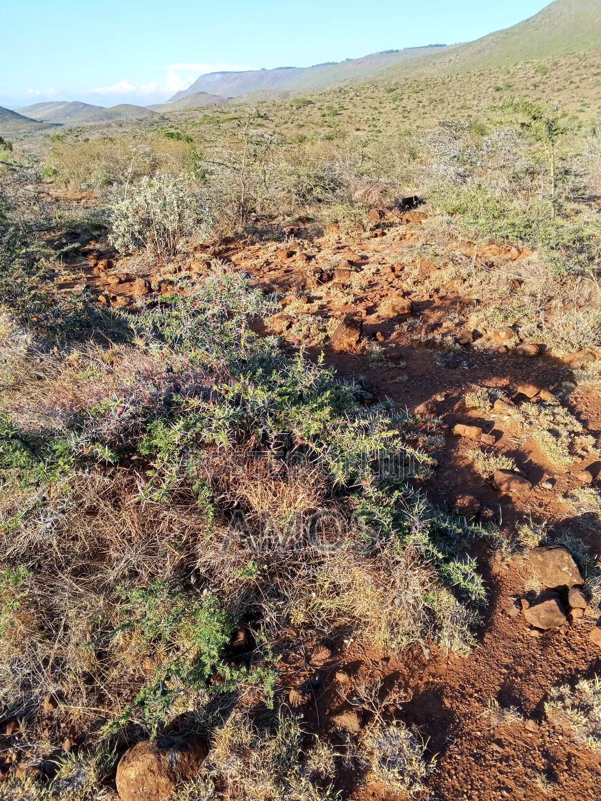 5acres Block in Ndeiya Nguirubi Karera Ideal for Farming in Ndeiya