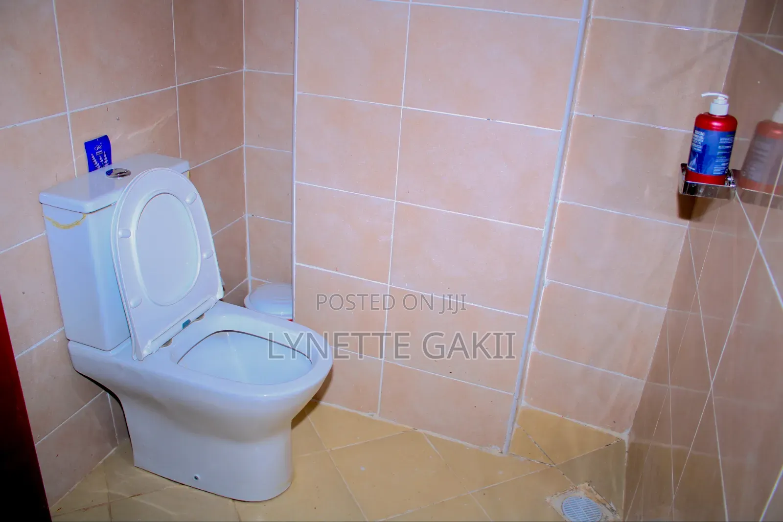 Airbnb Studio in Meru Town. in Meru Town
