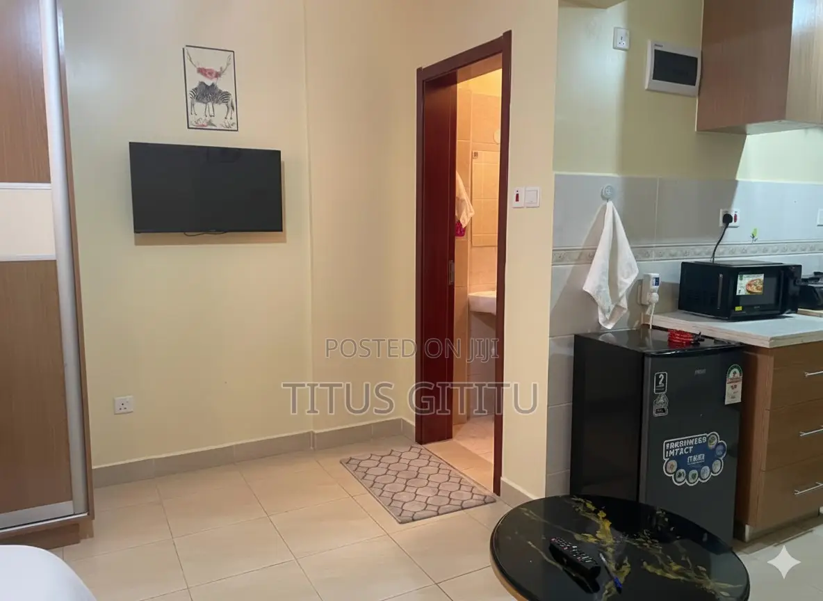 Budget Studio Airbnb in Ngara | 5 Mins to CBD | Parking | KSHS 3000 in Ngara