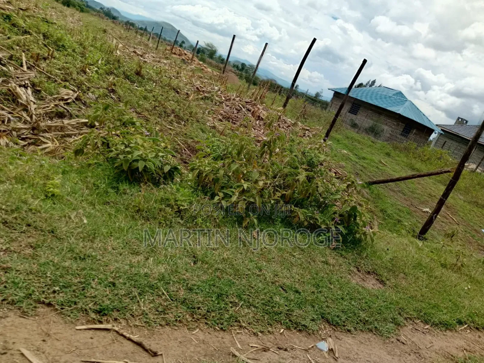 50 by 100 Longonot in Naivasha East