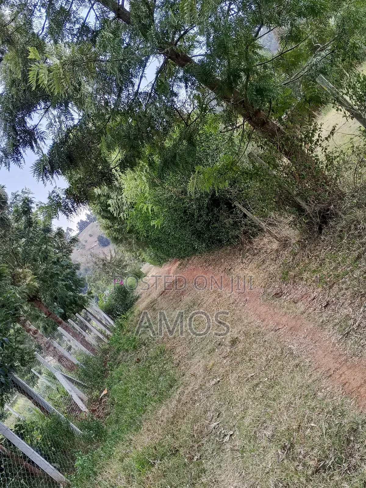 1⁄8 Acre Plot in Ndeiya Loyal Nderu. in Ndeiya