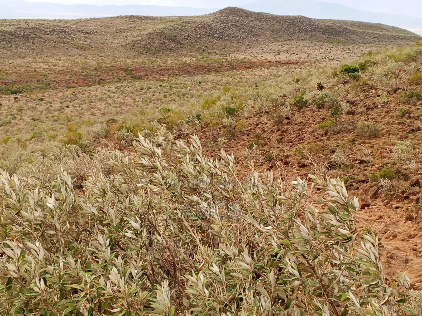 5acres Block Sale in Ndeiya Nguirubi Karera Area Near SGR in Ndeiya