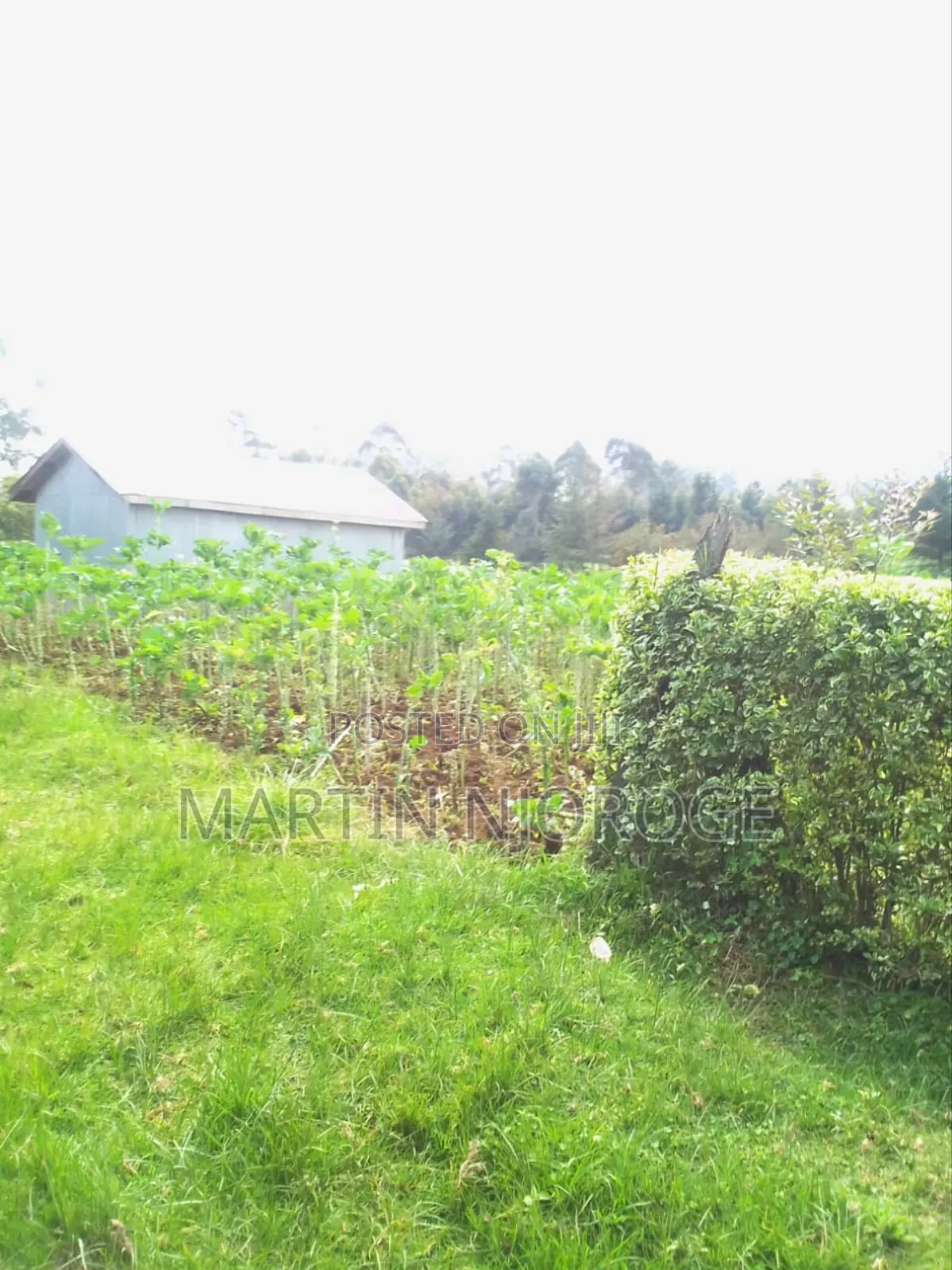 1⁄2 Acre Escarpment in Lari/Kirenga