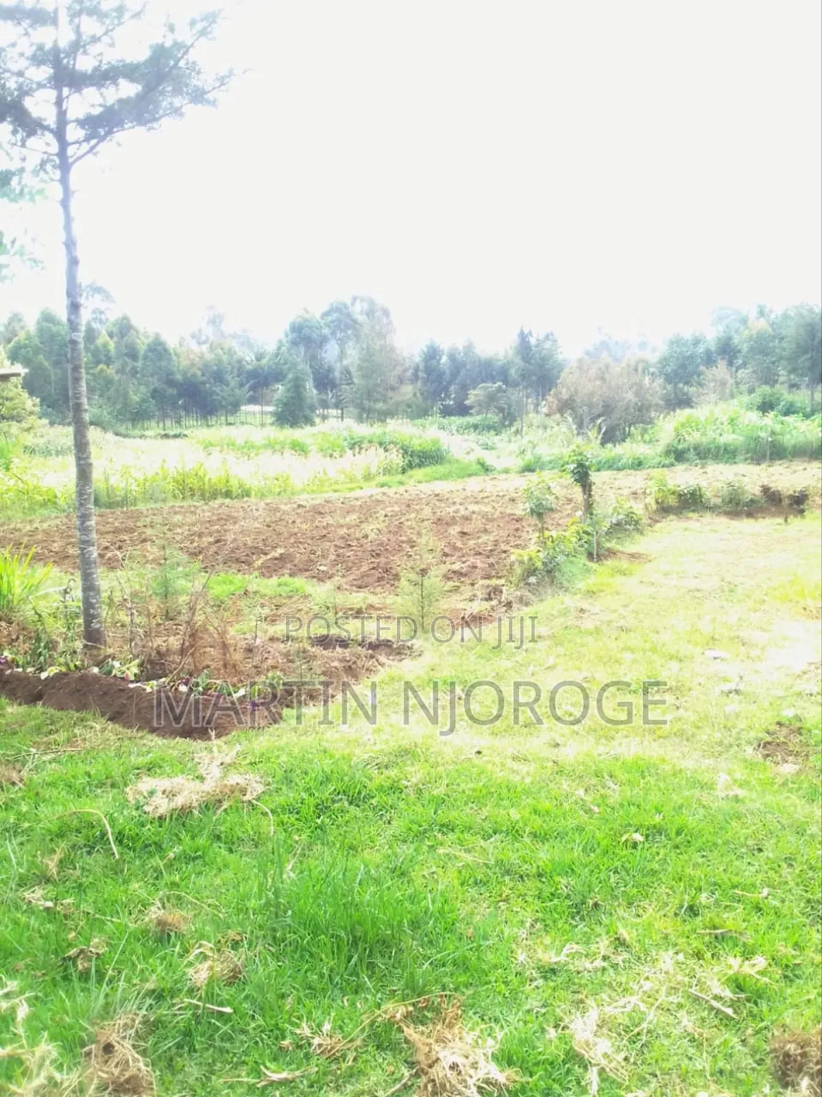 1⁄2 Acre Escarpment in Lari/Kirenga