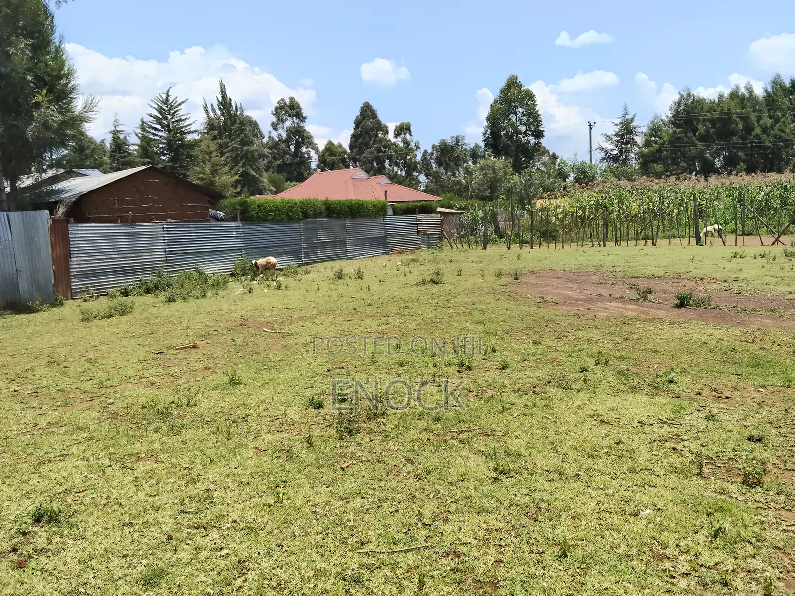 Prime 1⁄8acre Plot in Green Valley Maillinne Eldoret in Maili Nne