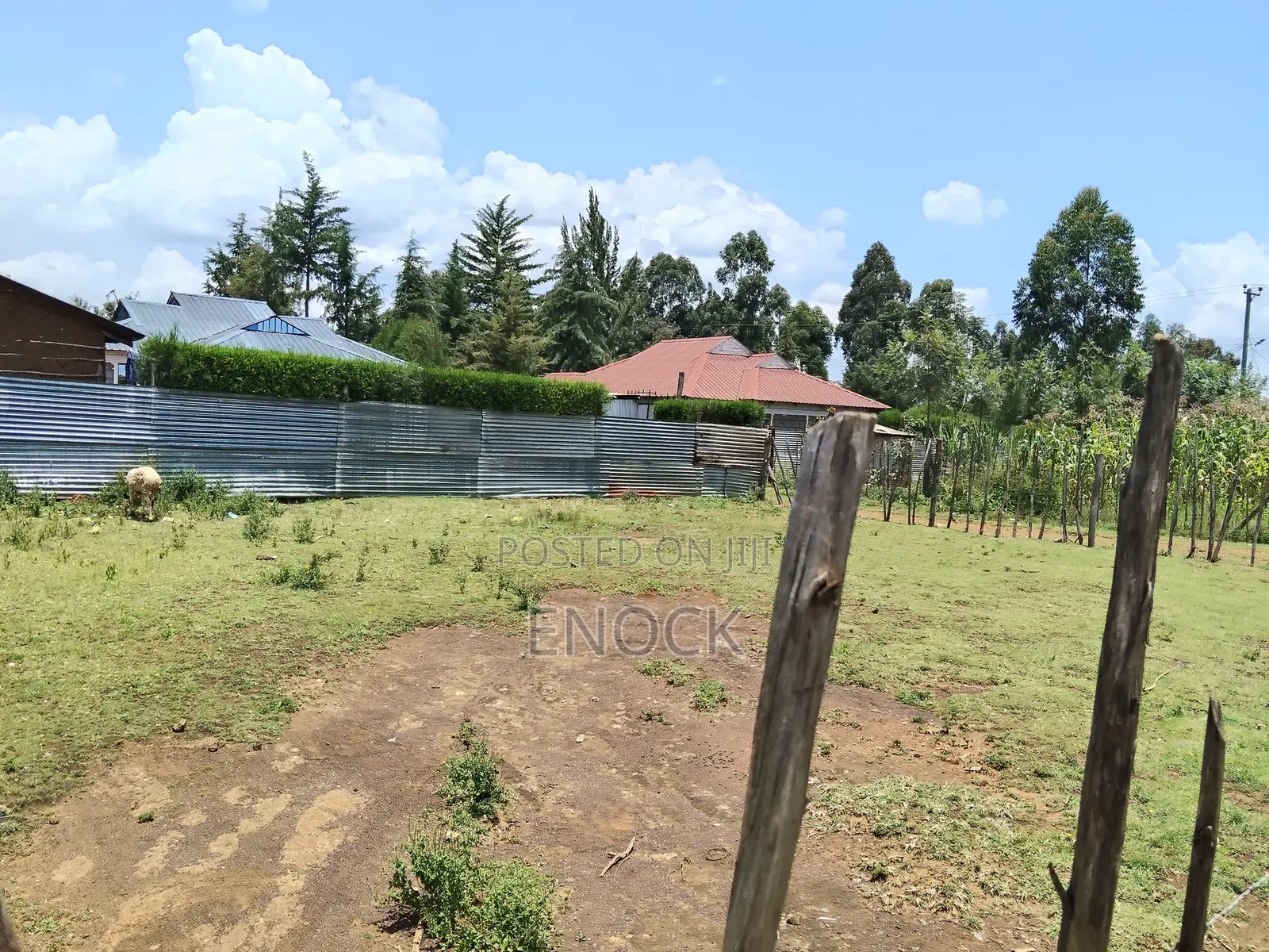 Prime 1⁄8acre Plot in Green Valley Maillinne Eldoret in Maili Nne