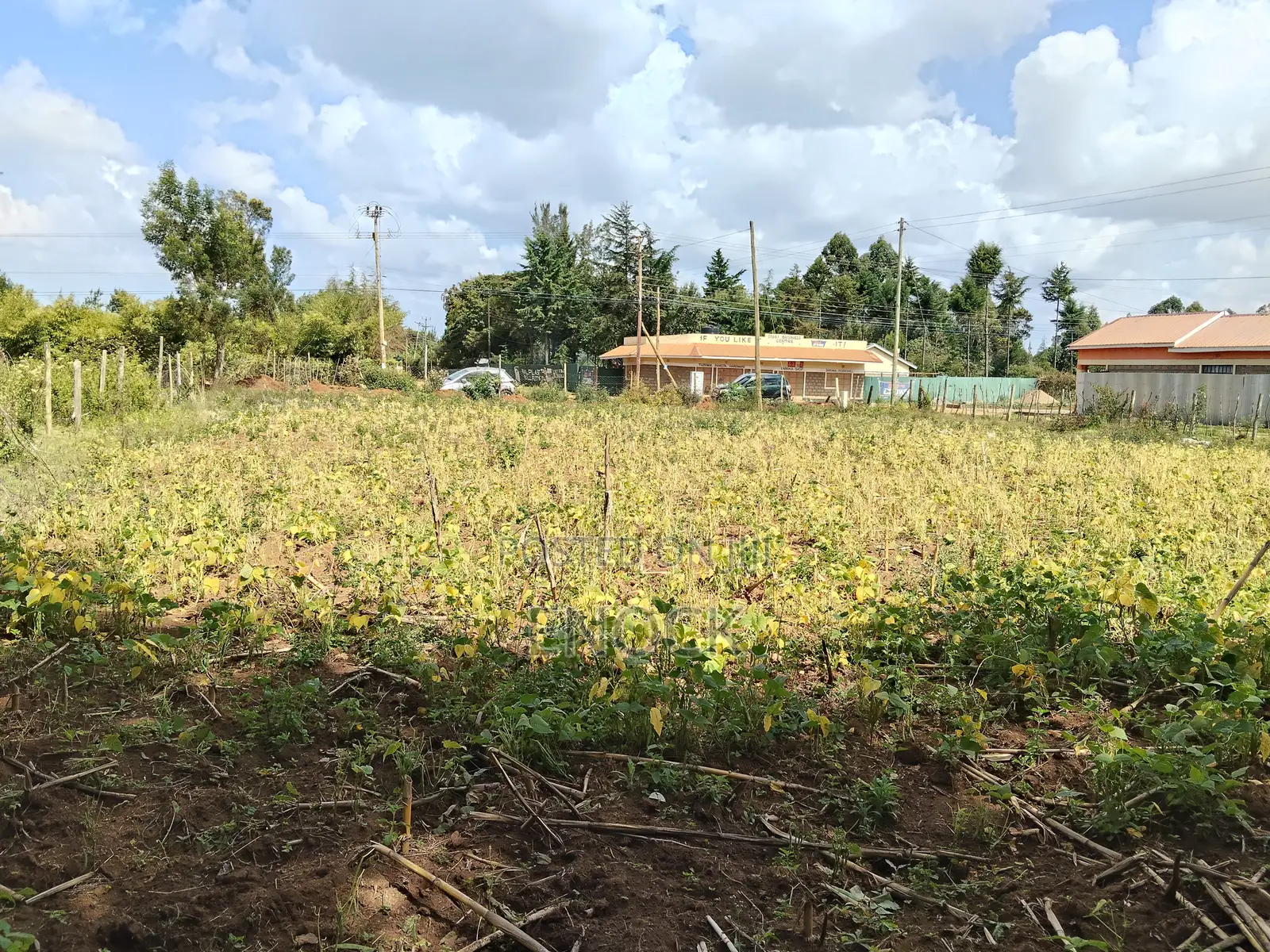 Prime 1⁄4acre Plot Touching Tarmac in Royaltone Annex in Racecourse