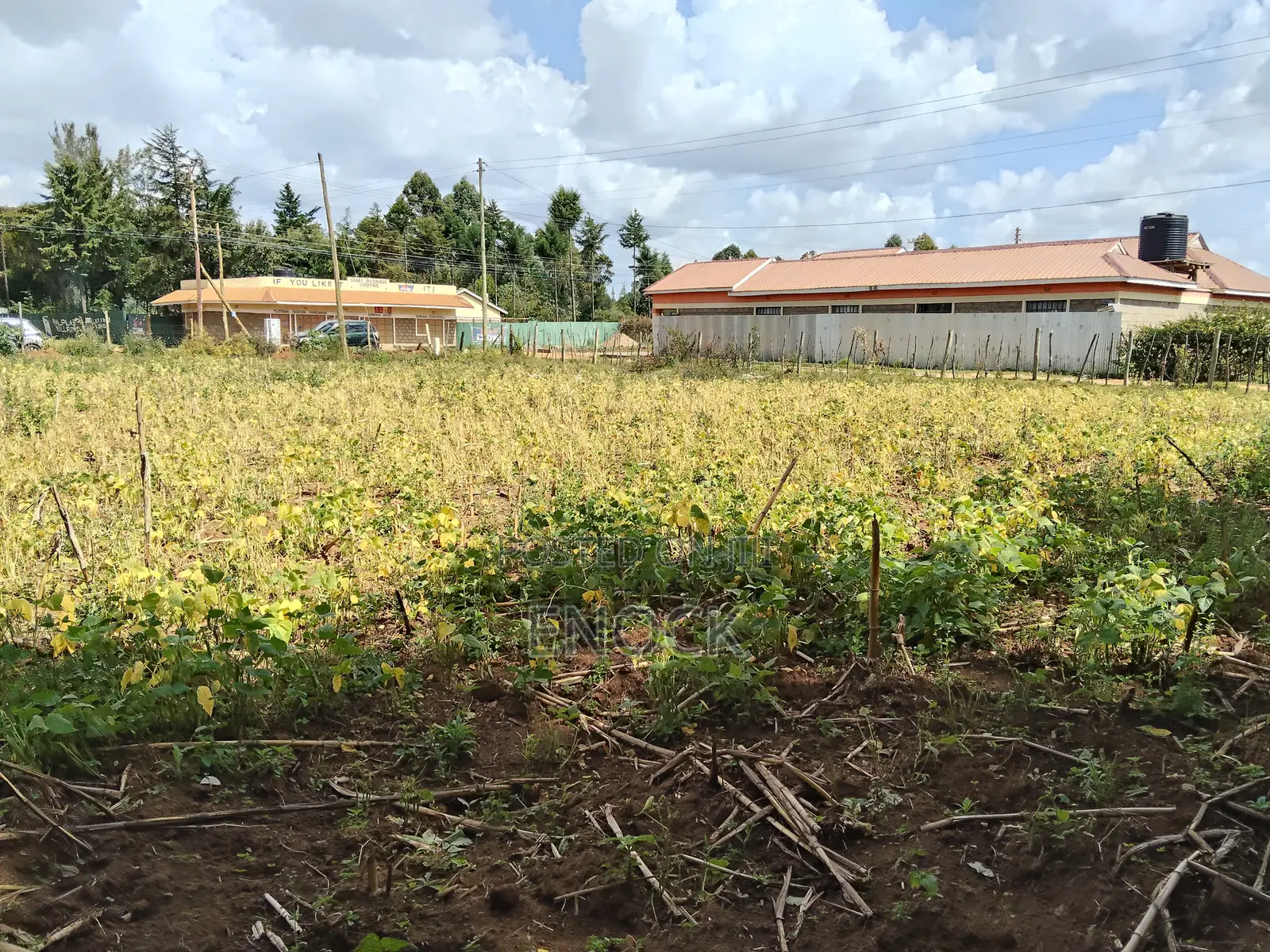 Prime 1⁄4acre Plot Touching Tarmac in Royaltone Annex in Racecourse