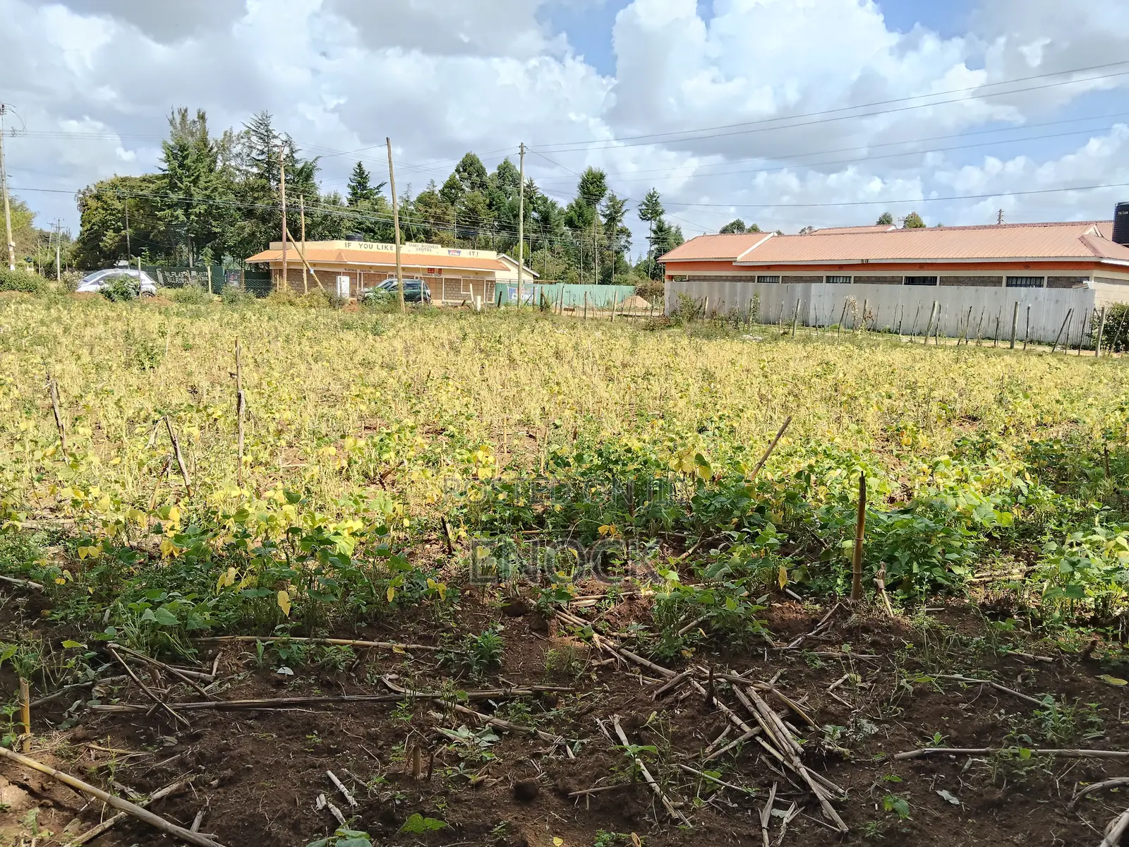 Prime 1⁄4acre Plot Touching Tarmac in Royaltone Annex in Racecourse