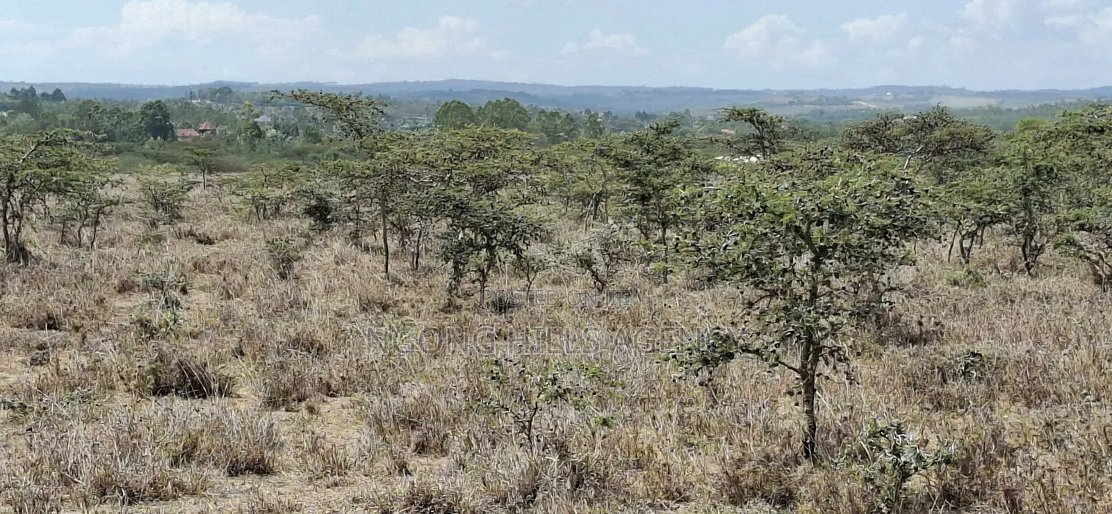 Prime Land for Sale: Koldota, Off Pipeline Road in Kiserian