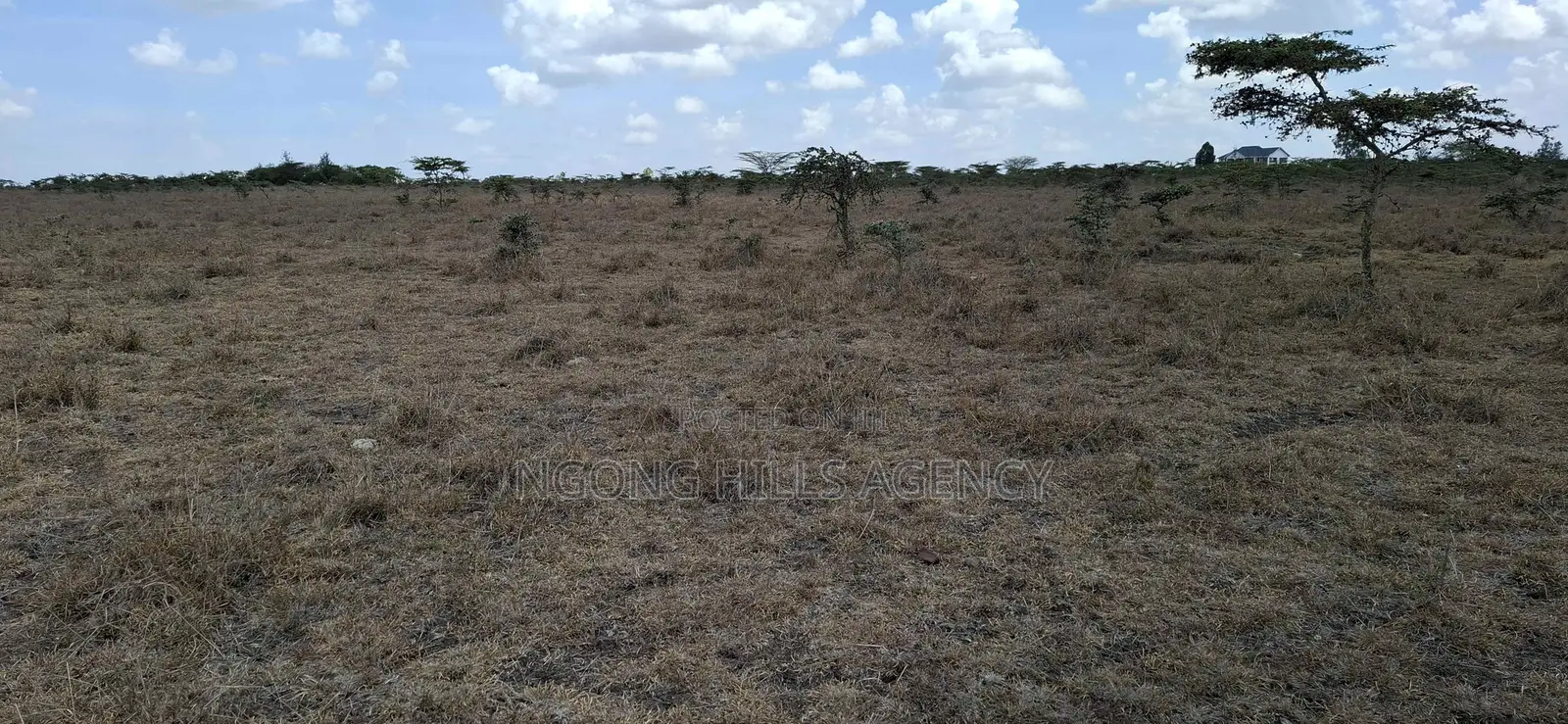 Prime Land for Sale: Koldota, Off Pipeline Road in Kiserian
