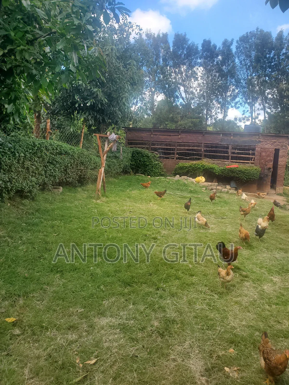 1/8 Plot in Rio Breeze Estate in Karai