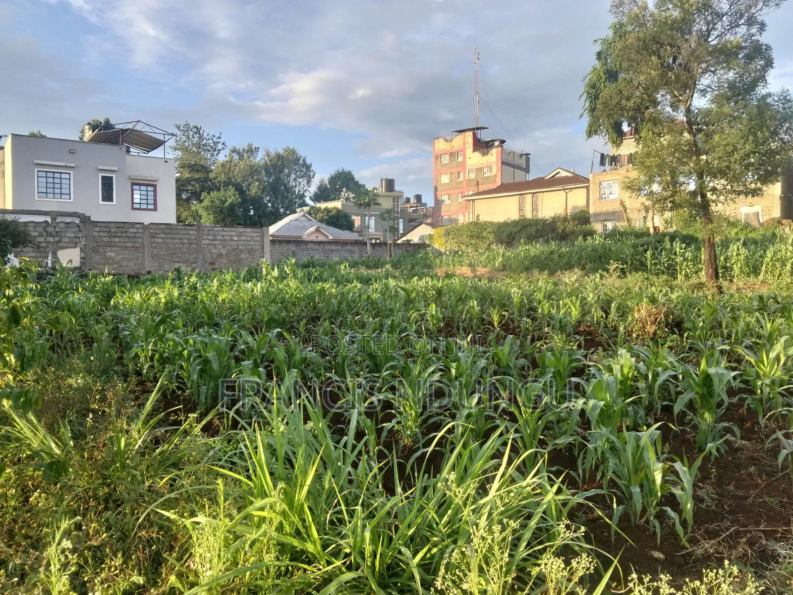 Prime Commercial Plots for Sale Boma Road Kiambu Town. in Kiambu / Kiambu 
