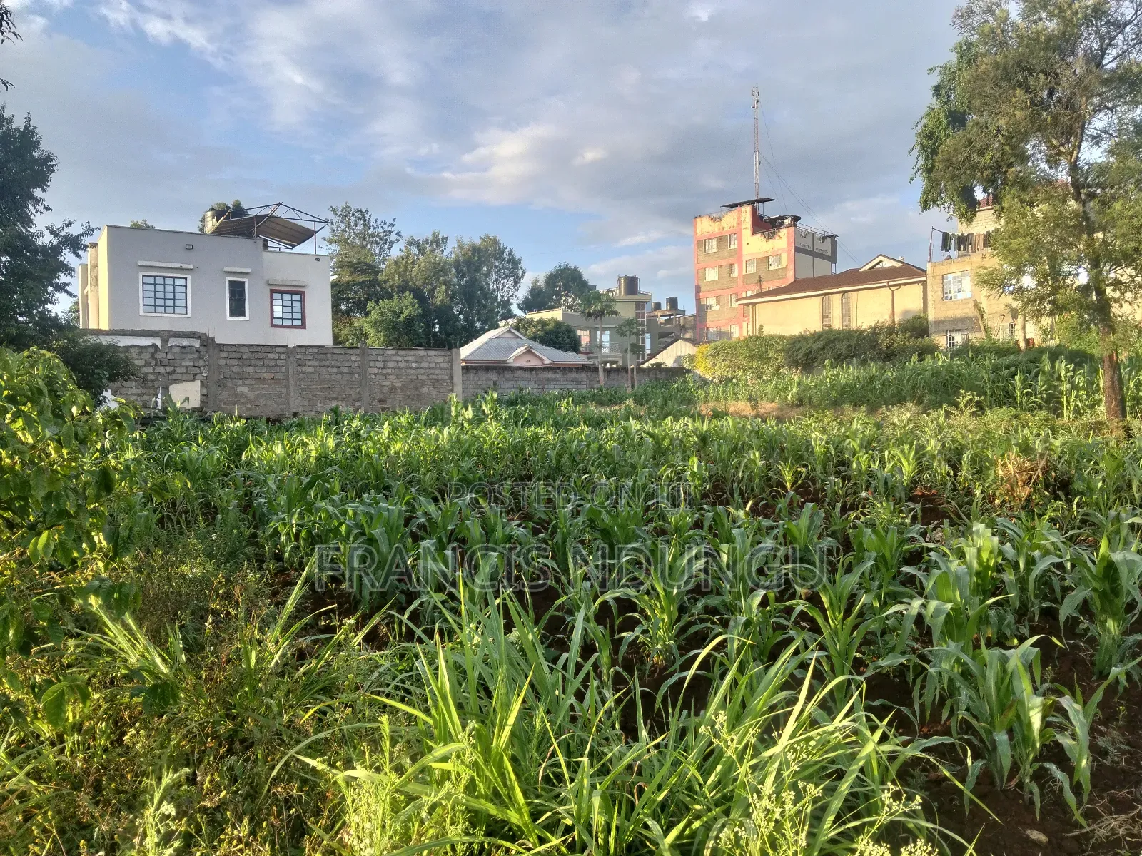 Prime Commercial Plots for Sale Boma Road Kiambu Town. in Kiambu / Kiambu 