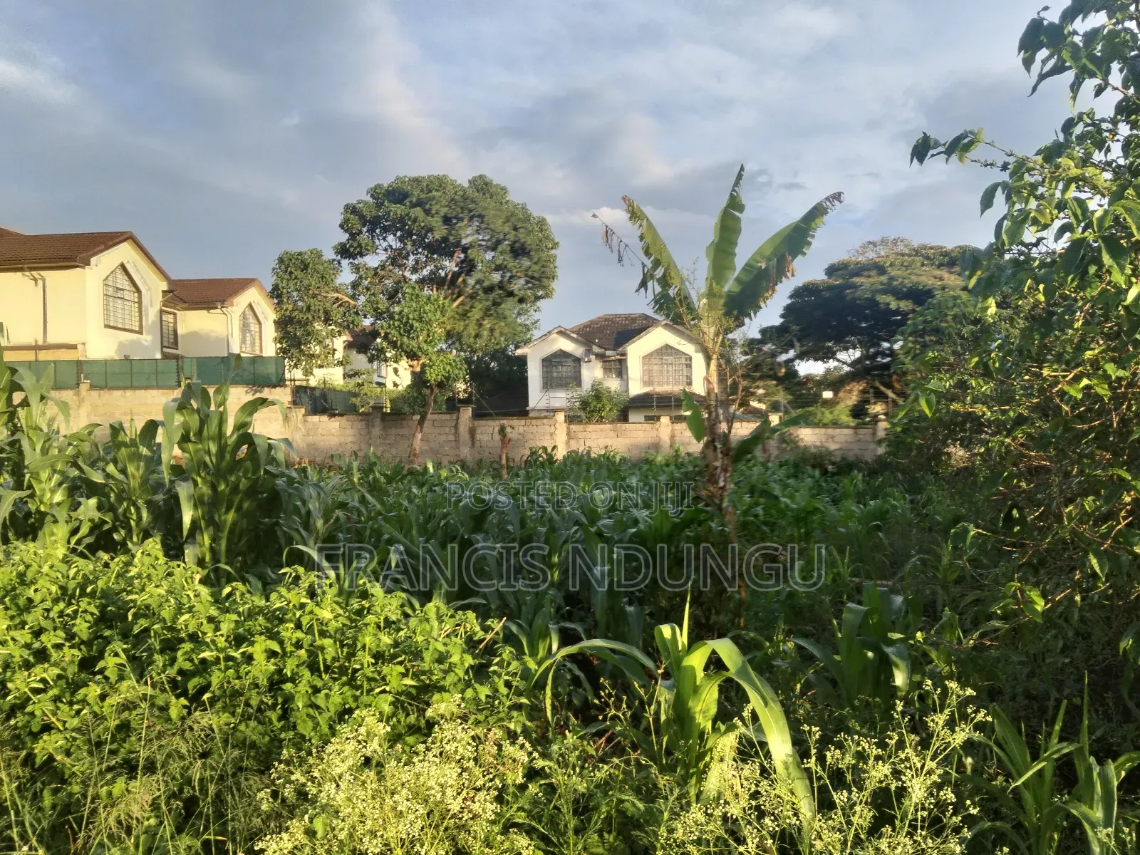 Prime Commercial Plots for Sale Boma Road Kiambu Town. in Kiambu / Kiambu 