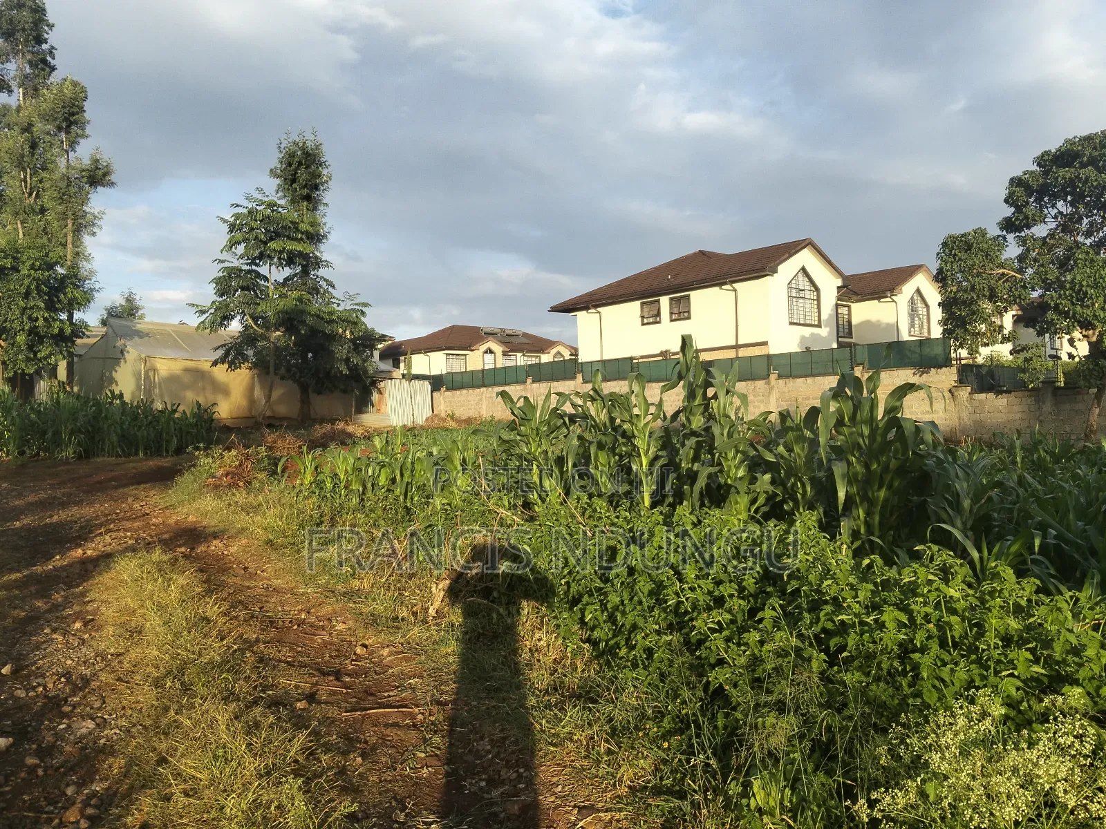Prime Commercial Plots for Sale Boma Road Kiambu Town. in Kiambu / Kiambu 