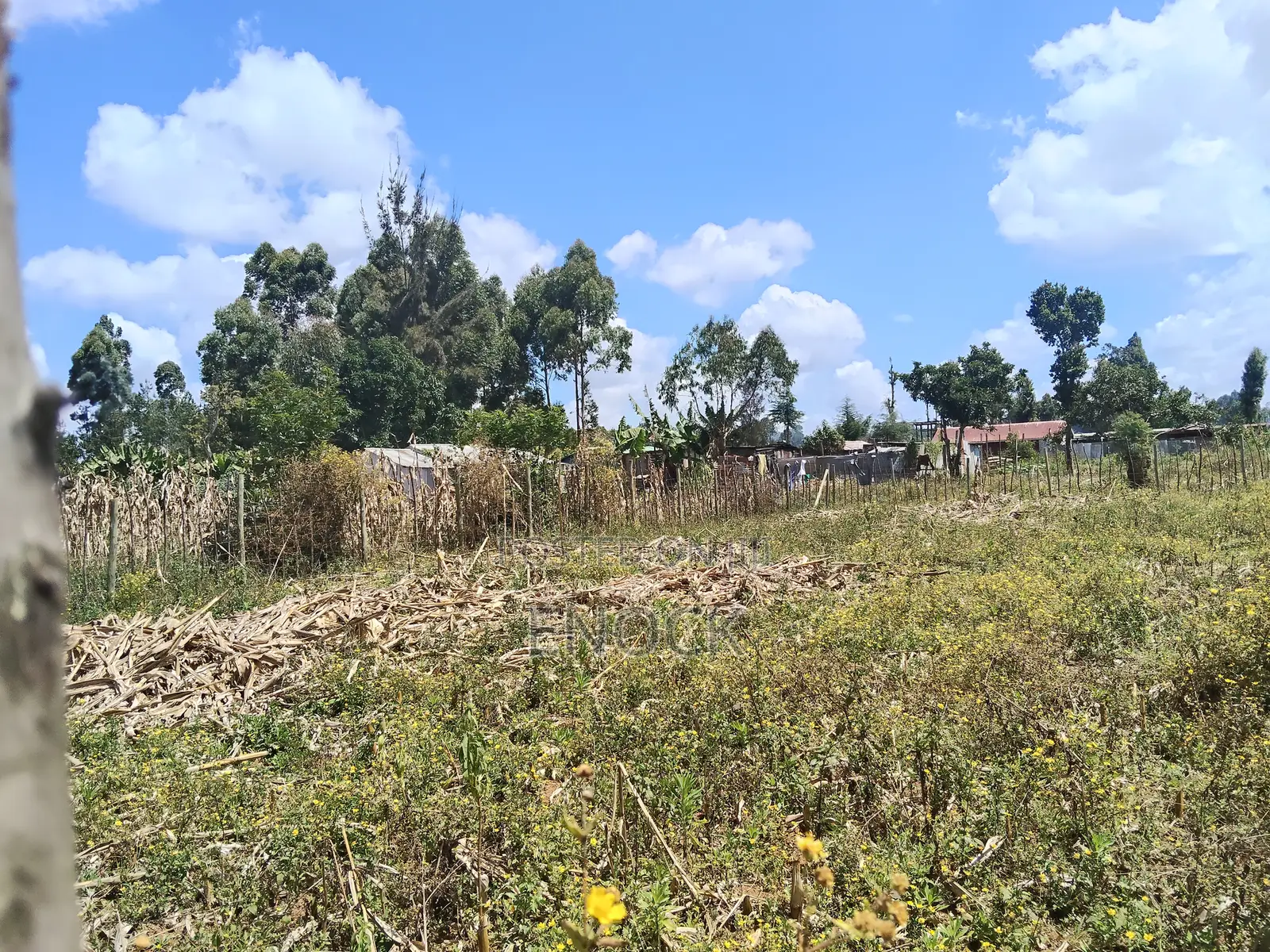 1⁄4 Acre Plot in Outspan Eldoret in Ngeria
