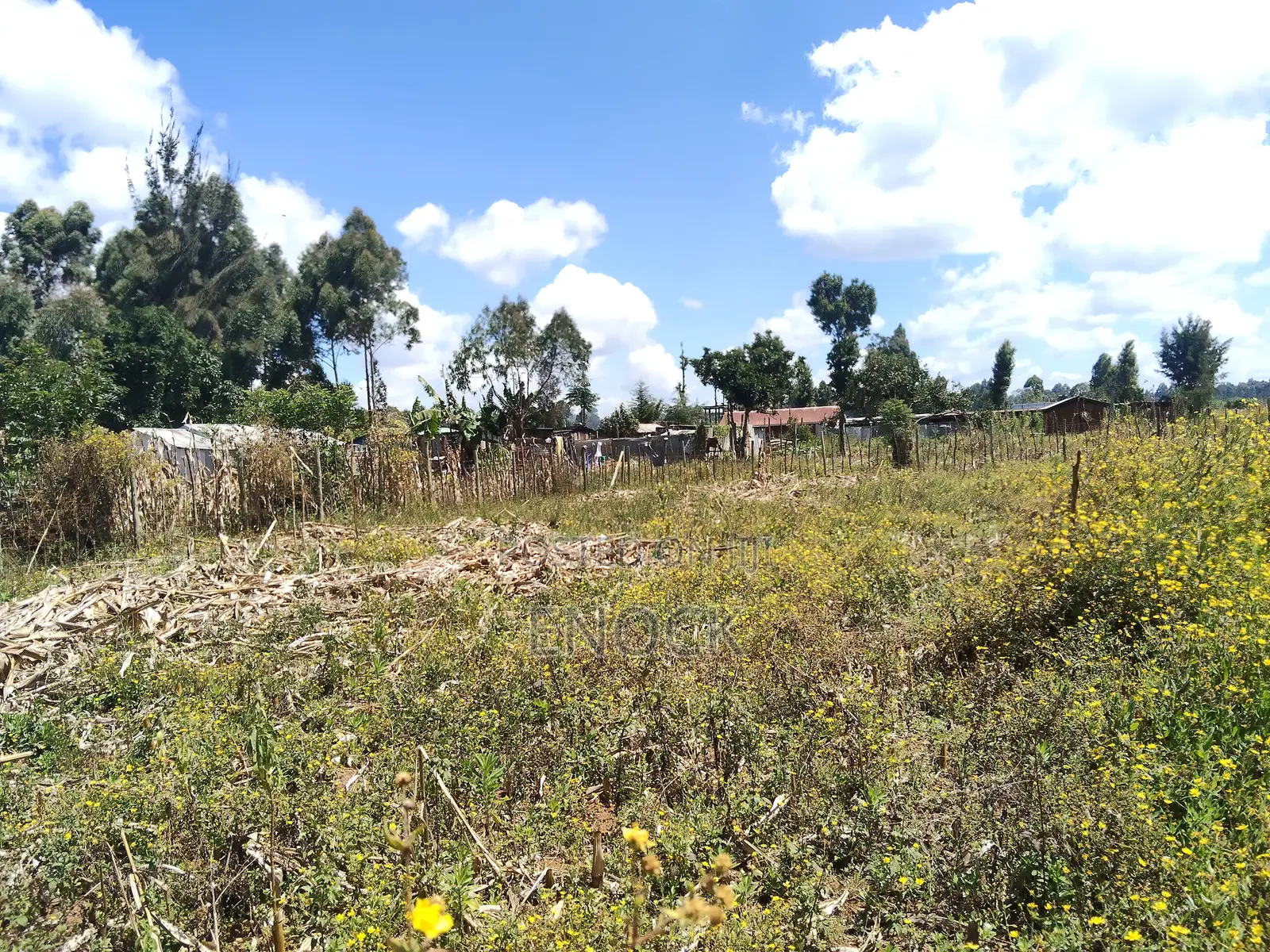 1⁄4 Acre Plot in Outspan Eldoret in Ngeria