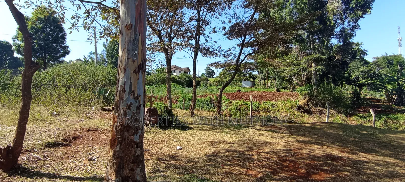 Commercial Plot for Sale in Thogoto, Kikuyu. in Thogoto
