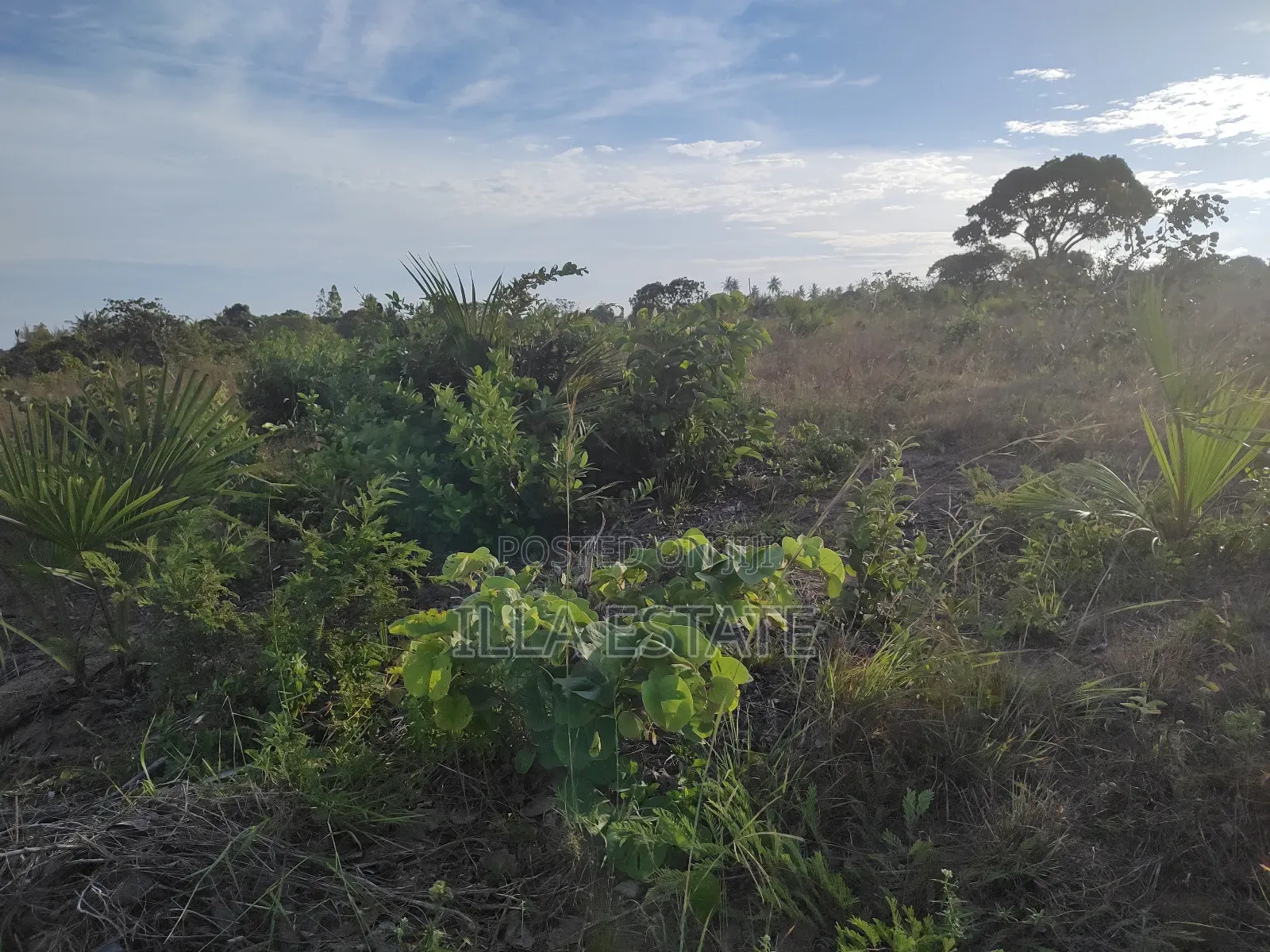 Prime Plot With Breathtaking Views in Ukunda
