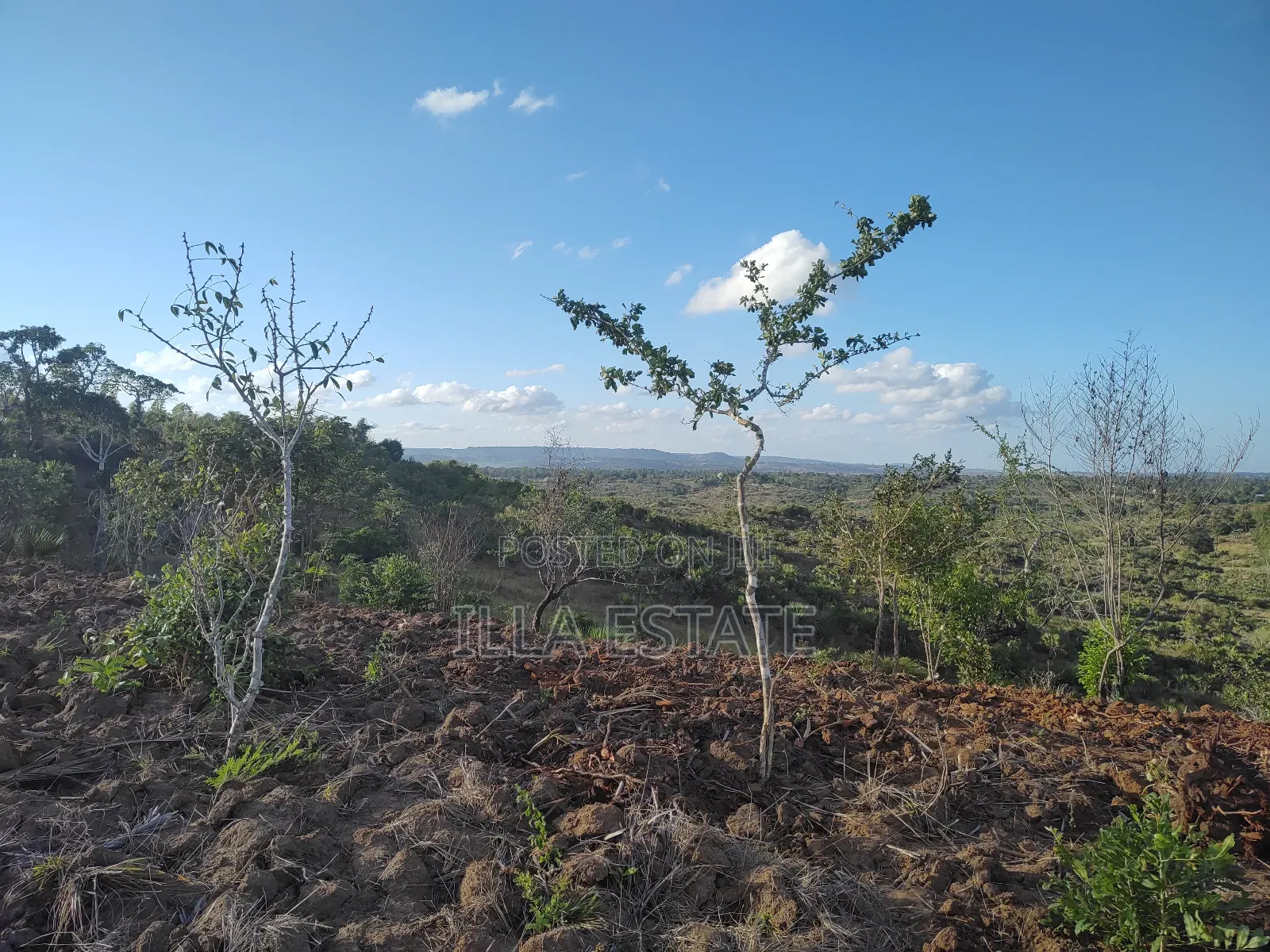 Prime Plot With Breathtaking Views in Ukunda