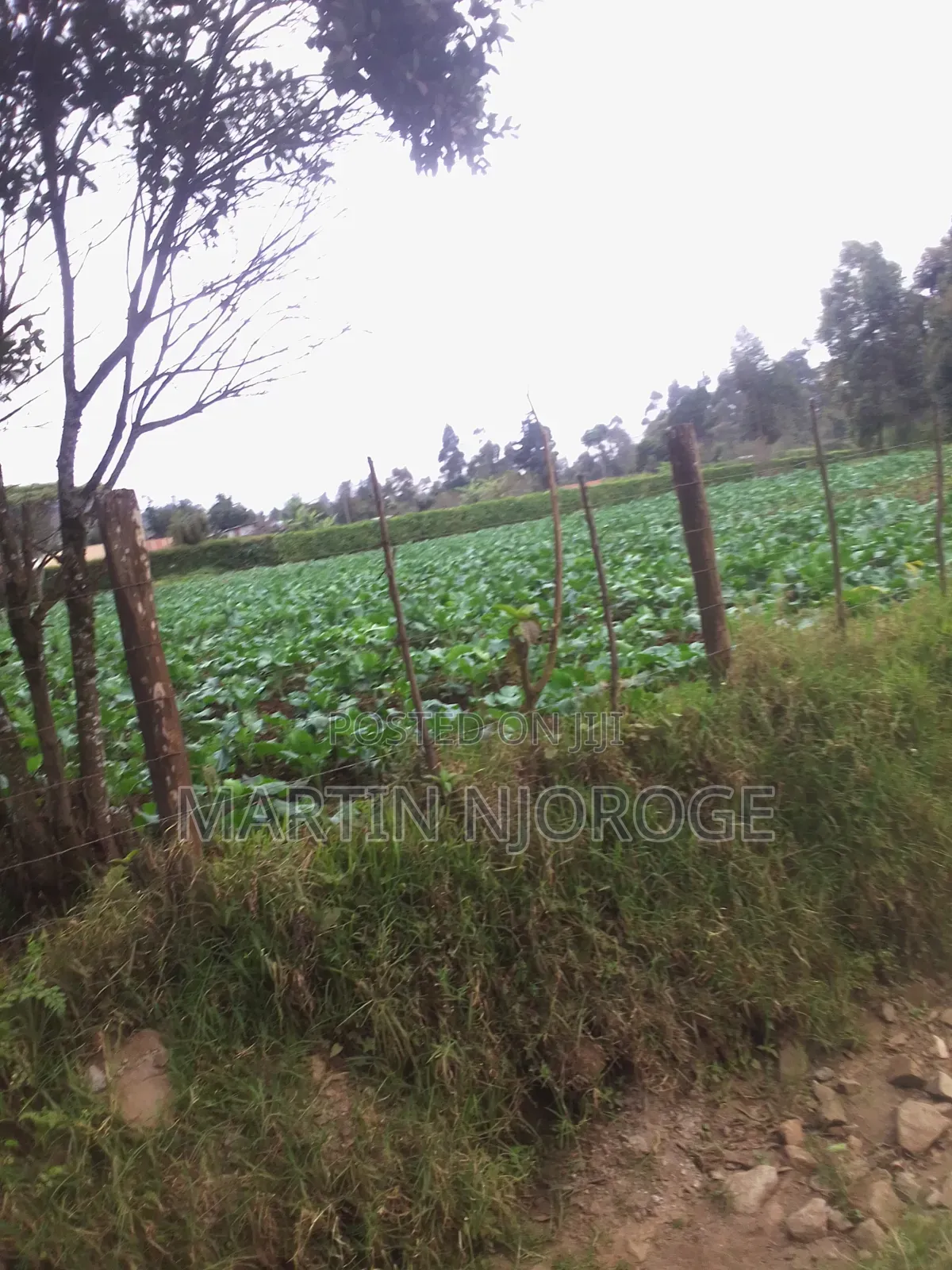 70 by 100 Plot Gitithia in Lari/Kirenga
