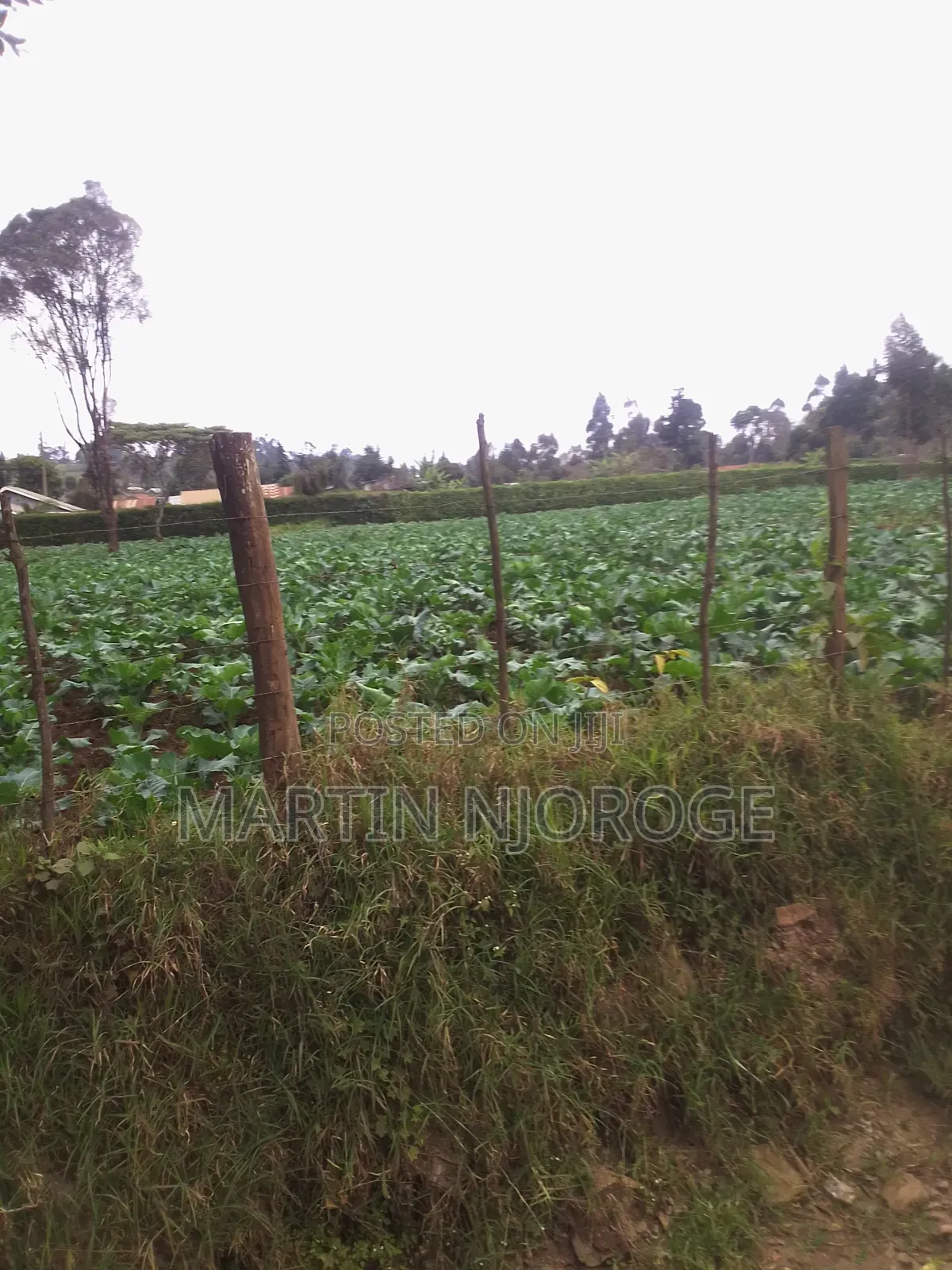 70 by 100 Plot Gitithia in Lari/Kirenga