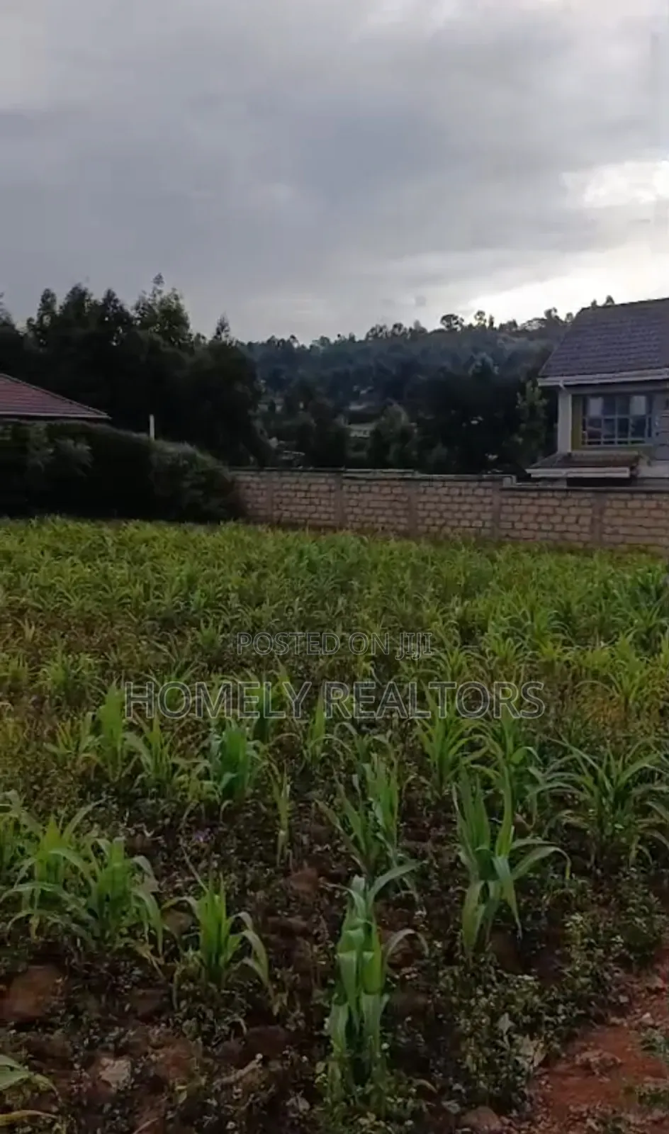 Gated Residential Quarter Acre Plot in Kikuyu, Thigio. Red Soil Land in Kikuyu