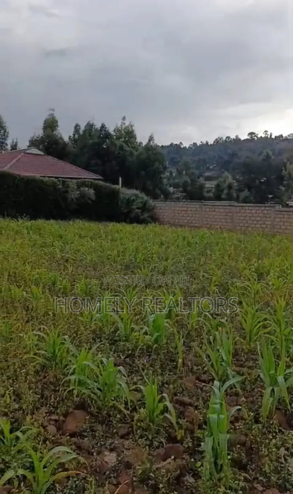Gated Residential Quarter Acre Plot in Kikuyu, Thigio. Red Soil Land in Kikuyu