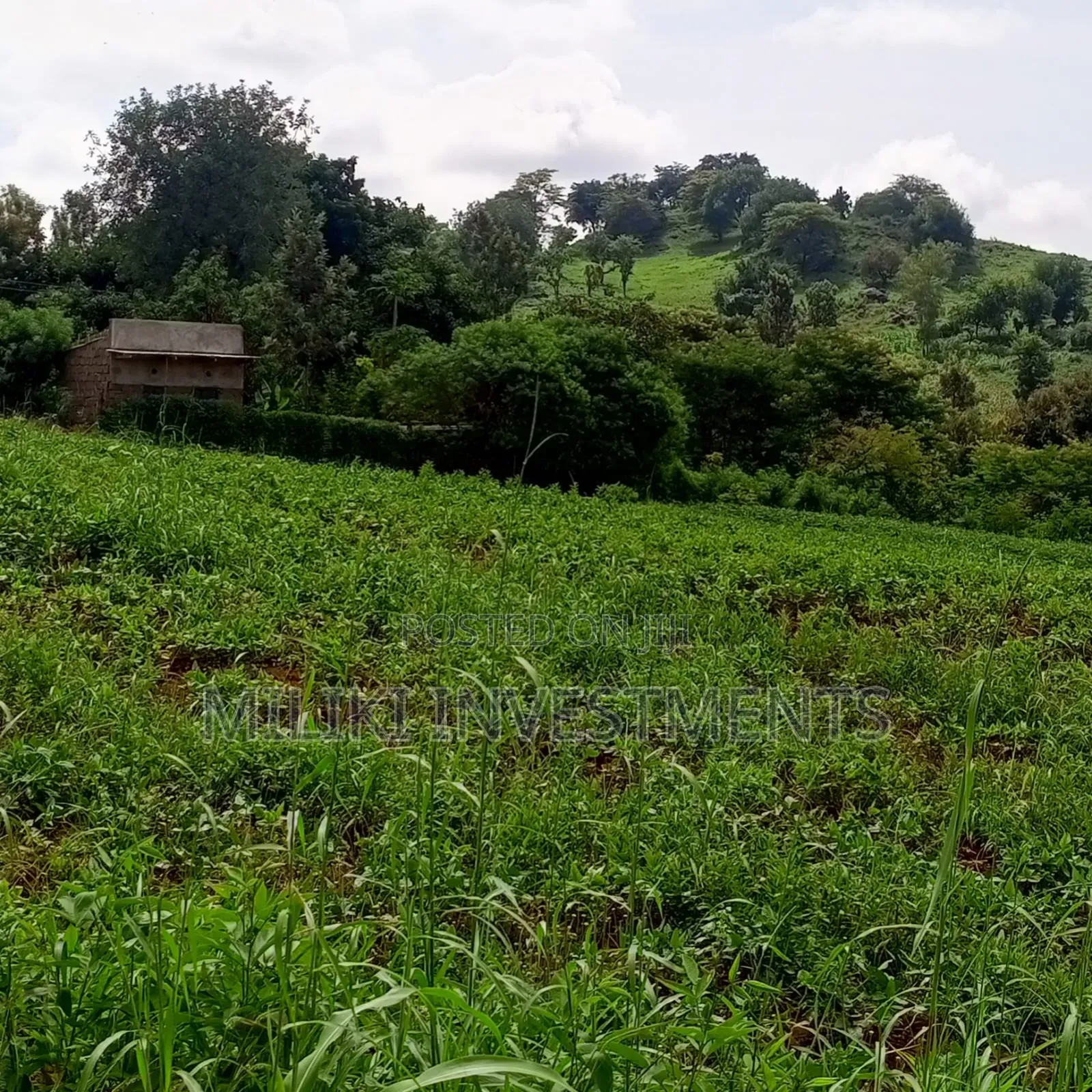 10 Acres for Sale at Meru-Nkubu-Mitunguu in Abogeta East