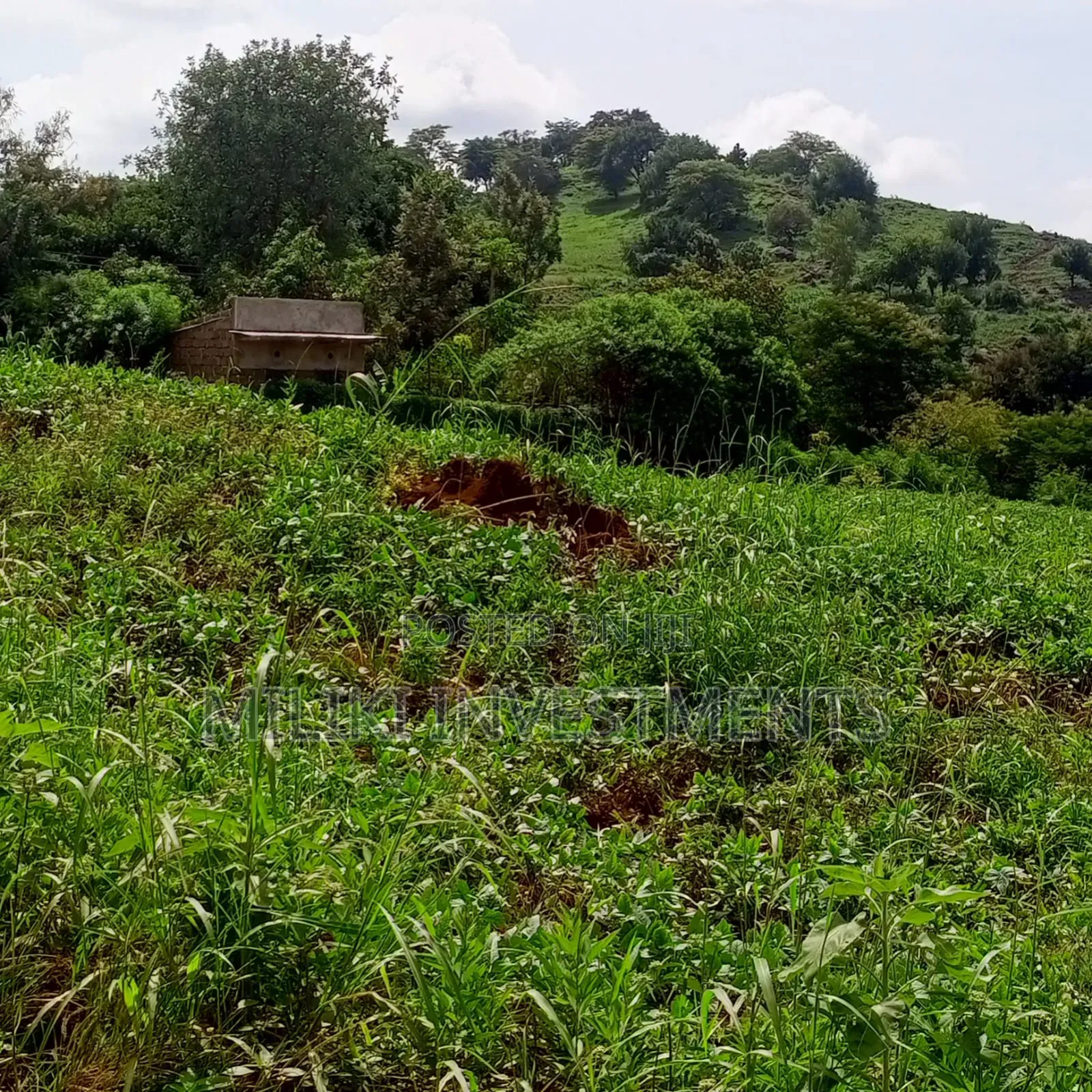 10 Acres for Sale at Meru-Nkubu-Mitunguu in Abogeta East