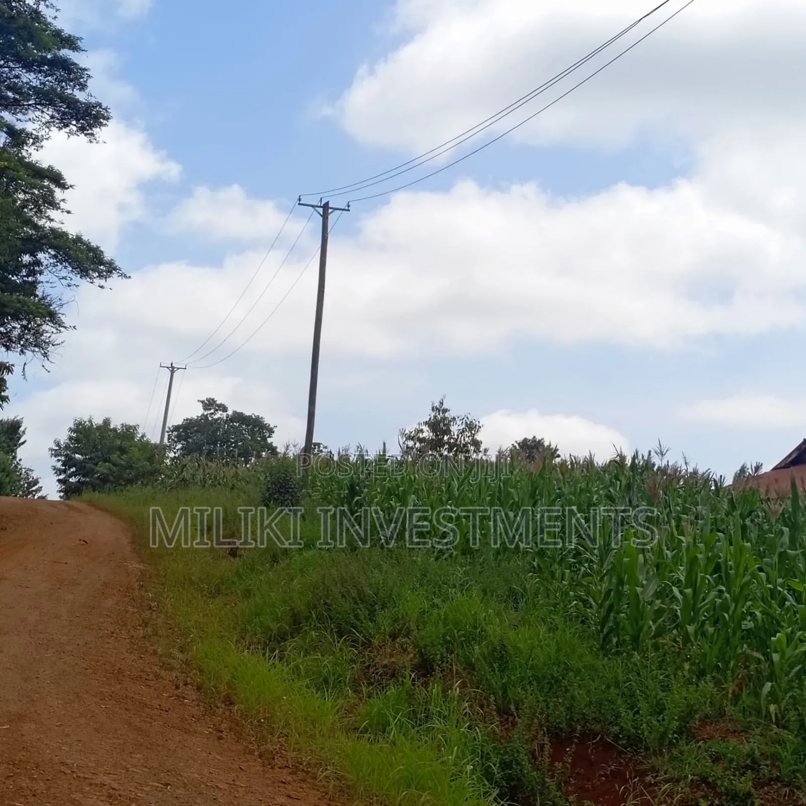 2 Acres for Sale at Nkubu-Mitunguu in Abogeta East