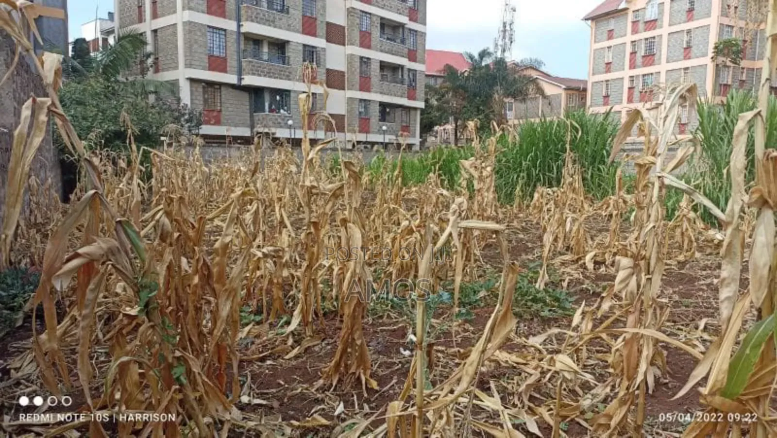 Very Prime 1⁄4ac Plot Opposite the Gate of Ngong Racecourse. in Ndeiya