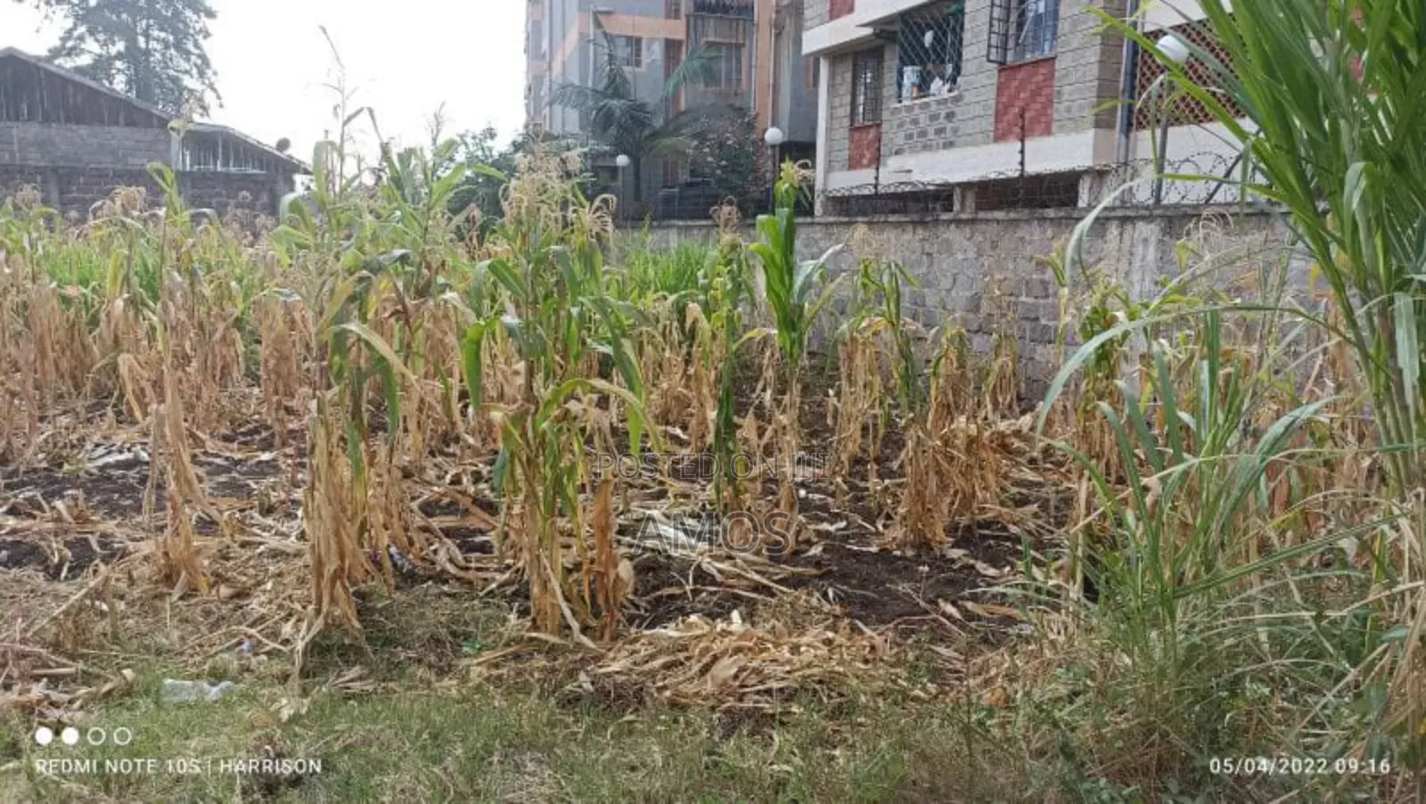 Very Prime 1⁄4ac Plot Opposite the Gate of Ngong Racecourse. in Ndeiya