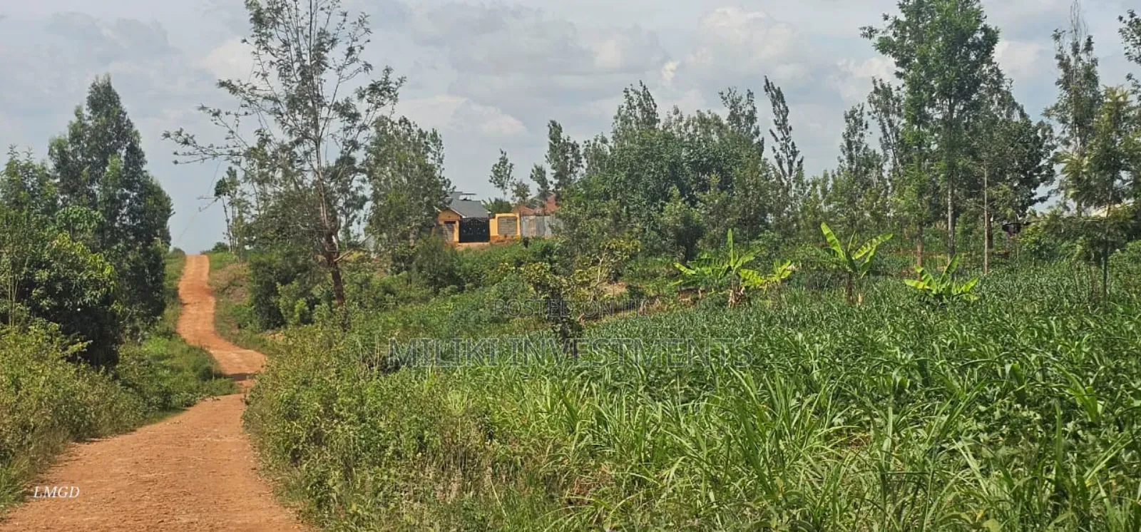 40 by 80 Plots on Sale at Kenol, Kimorori in DayStar Area