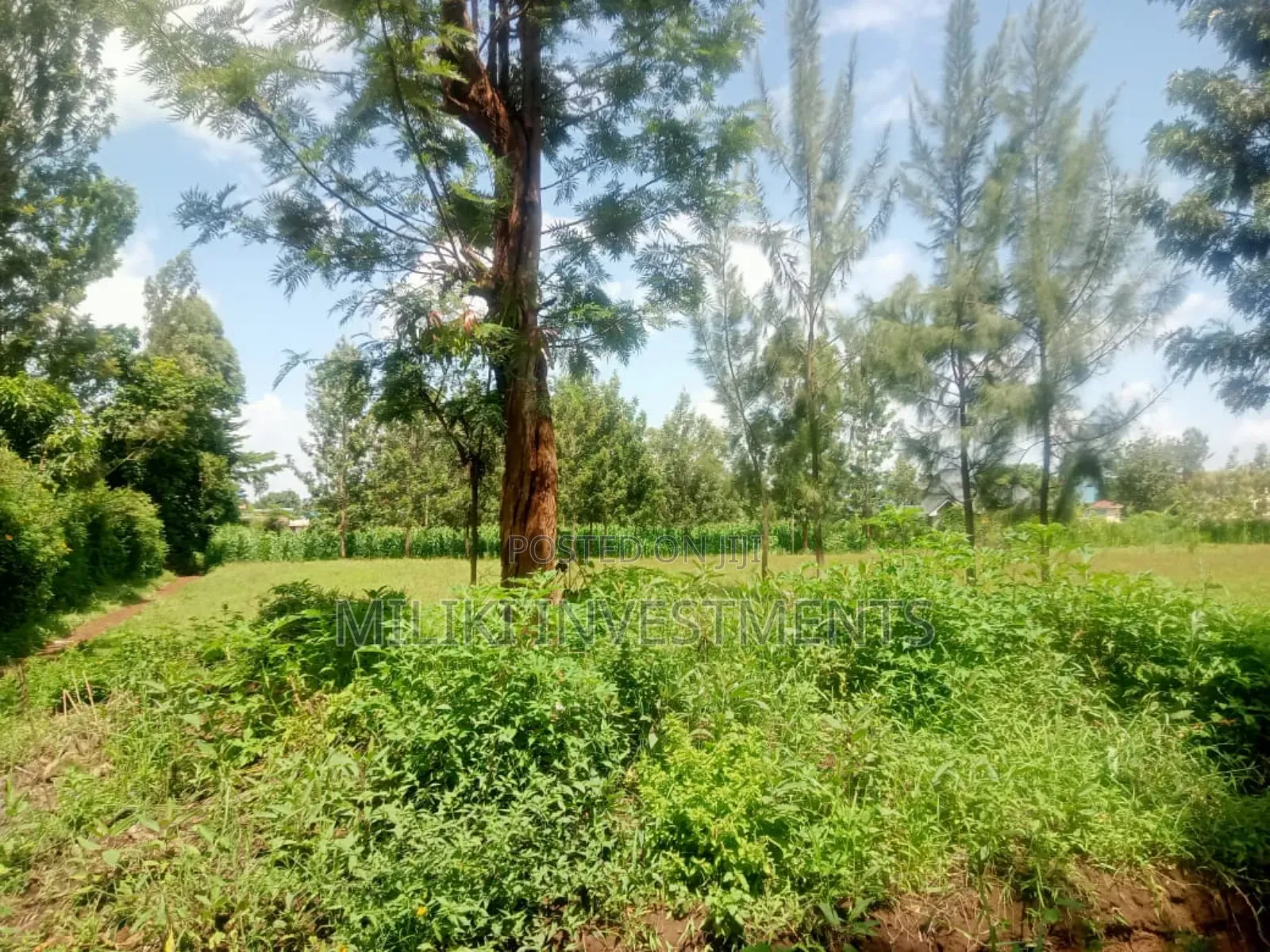 A Commercial Quarter an Acre at Kenol. in Kimorori/Wempa