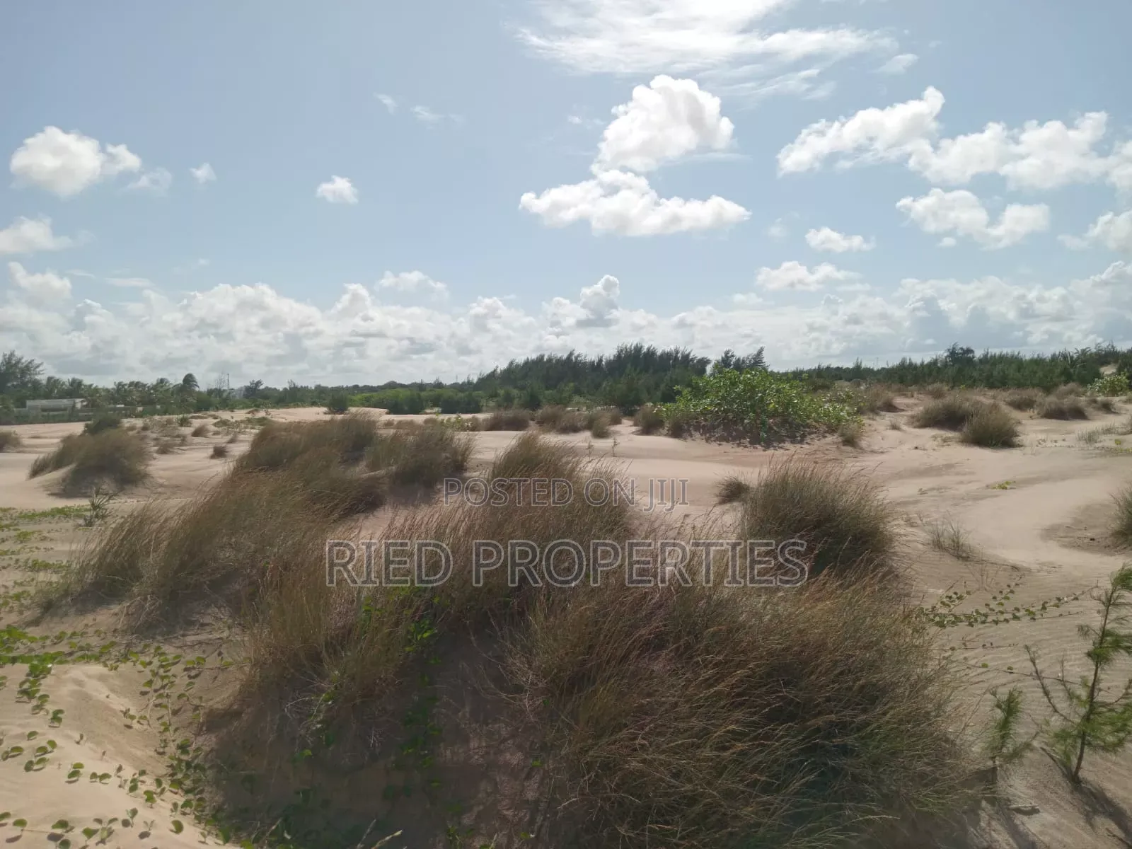 1 Acre Beach Plot in Malindi, Kiifi for Sale in Malindi