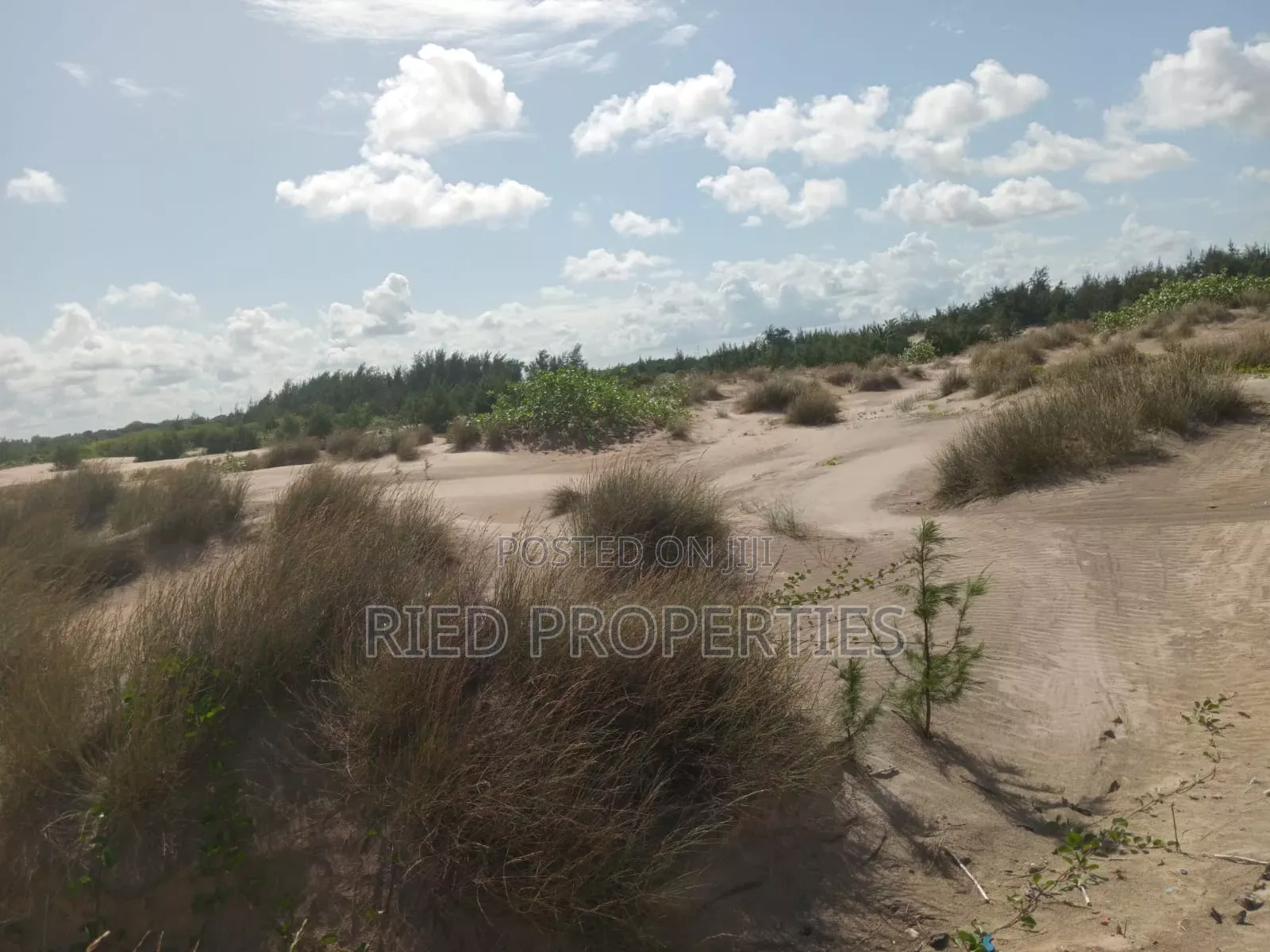 1 Acre Beach Plot in Malindi, Kiifi for Sale in Malindi