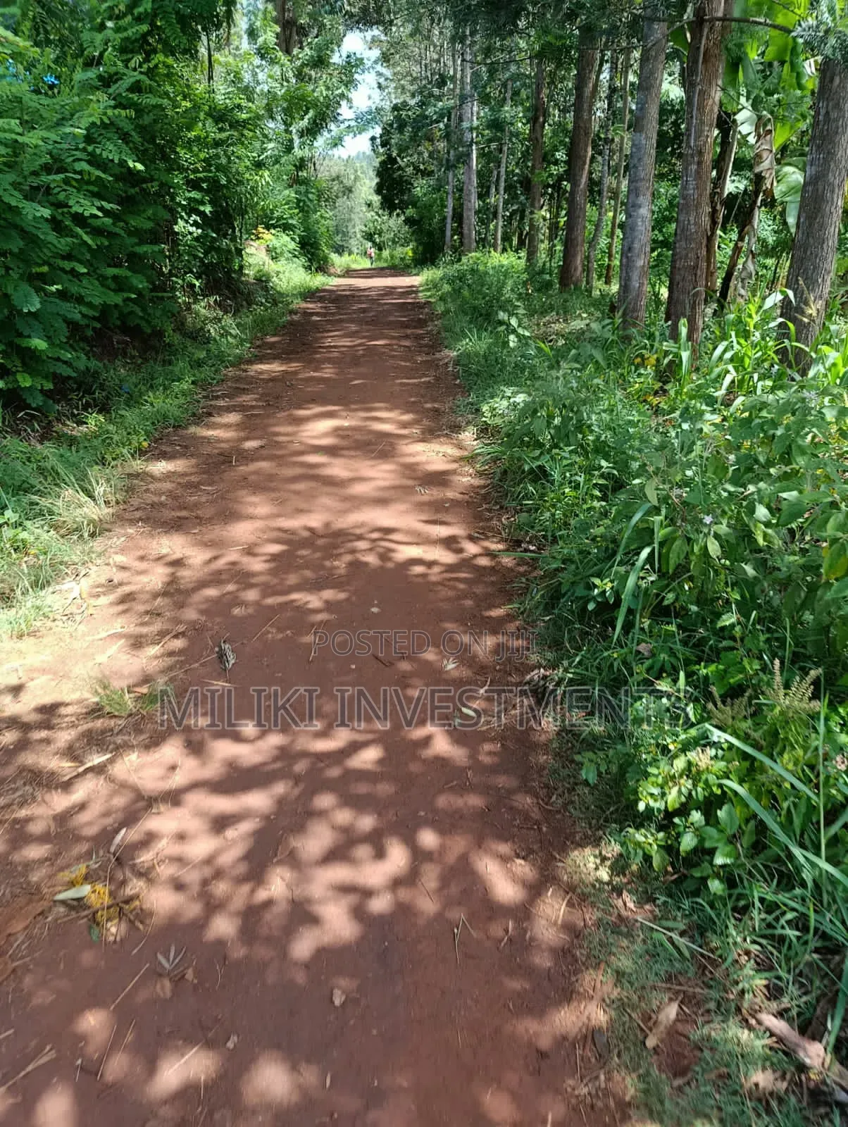 Half an Acre on Sale at Makuyu-Mihang'o in Mihango