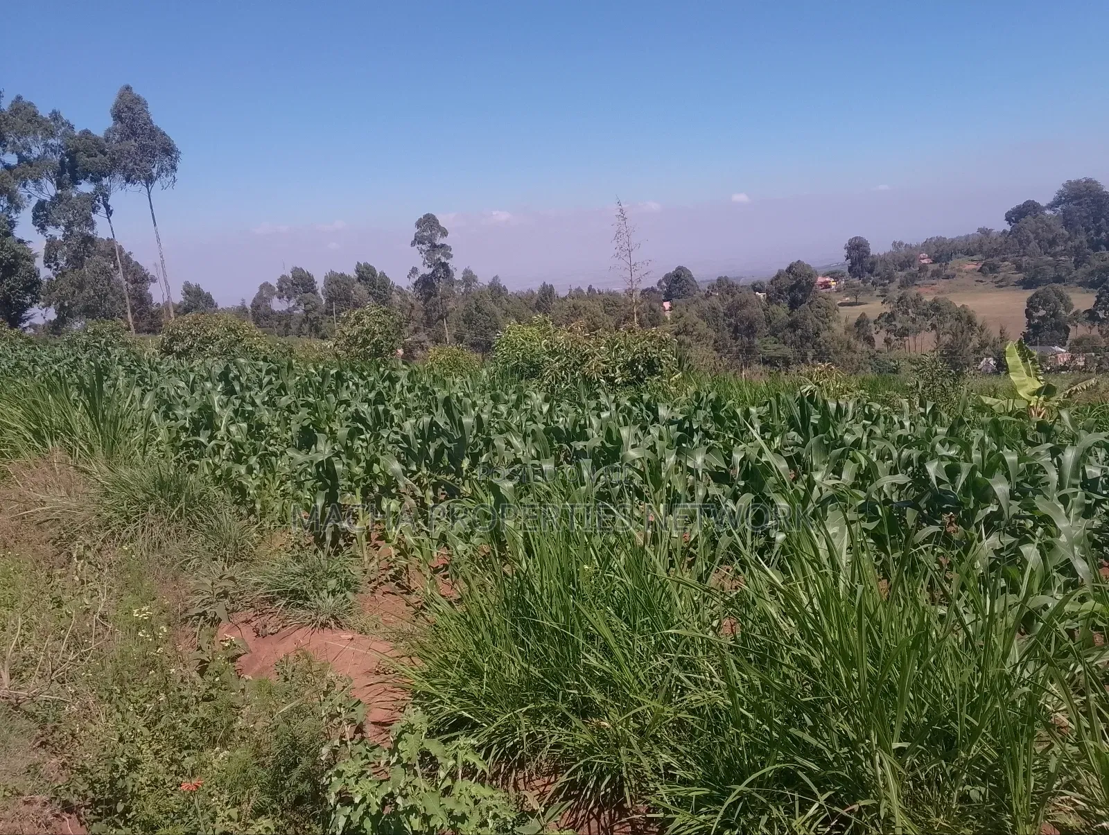 Mua Hills Near Rador Station 3 Plots for Sale in Mua Hills
